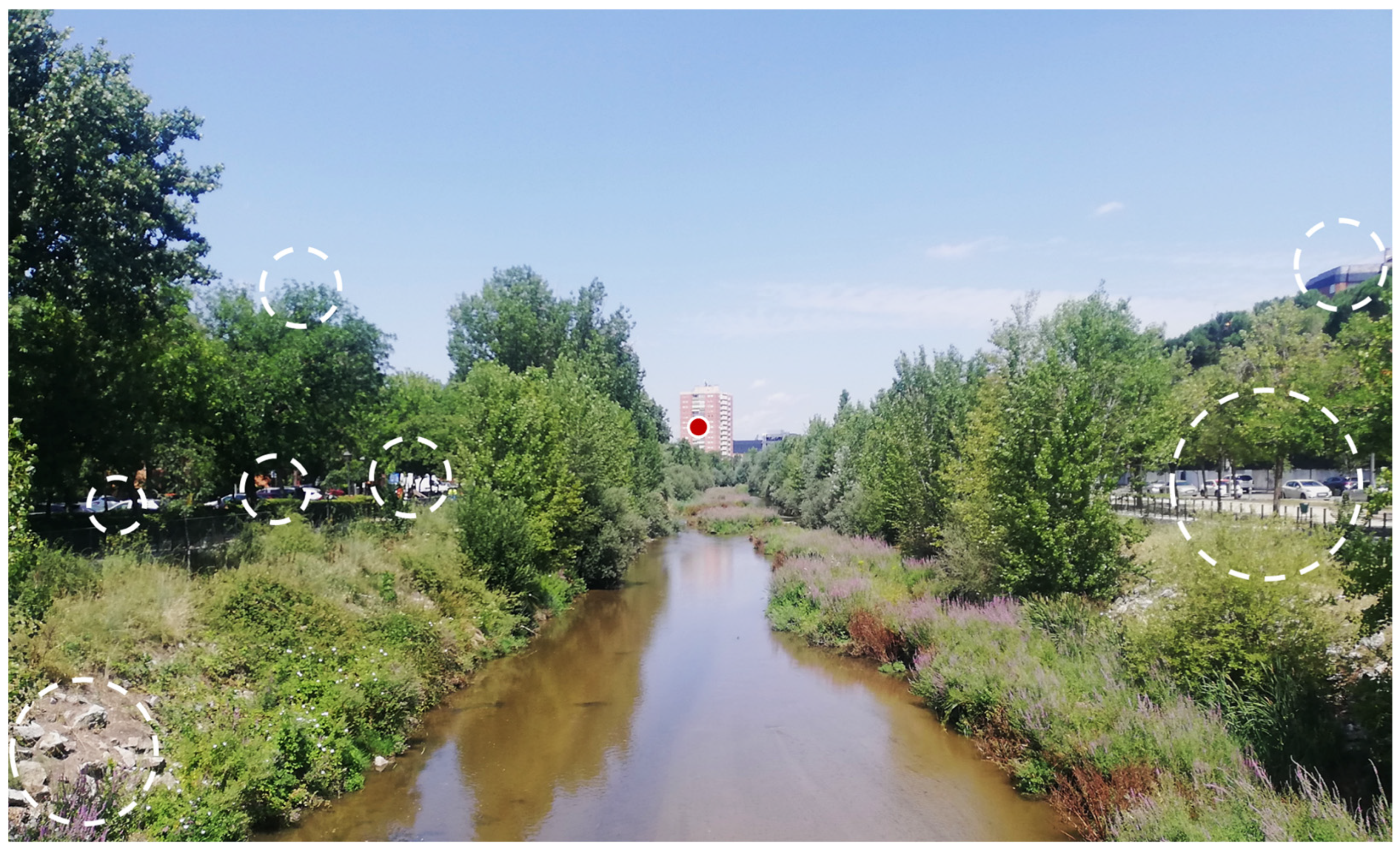 Sensors 23 08135 g001