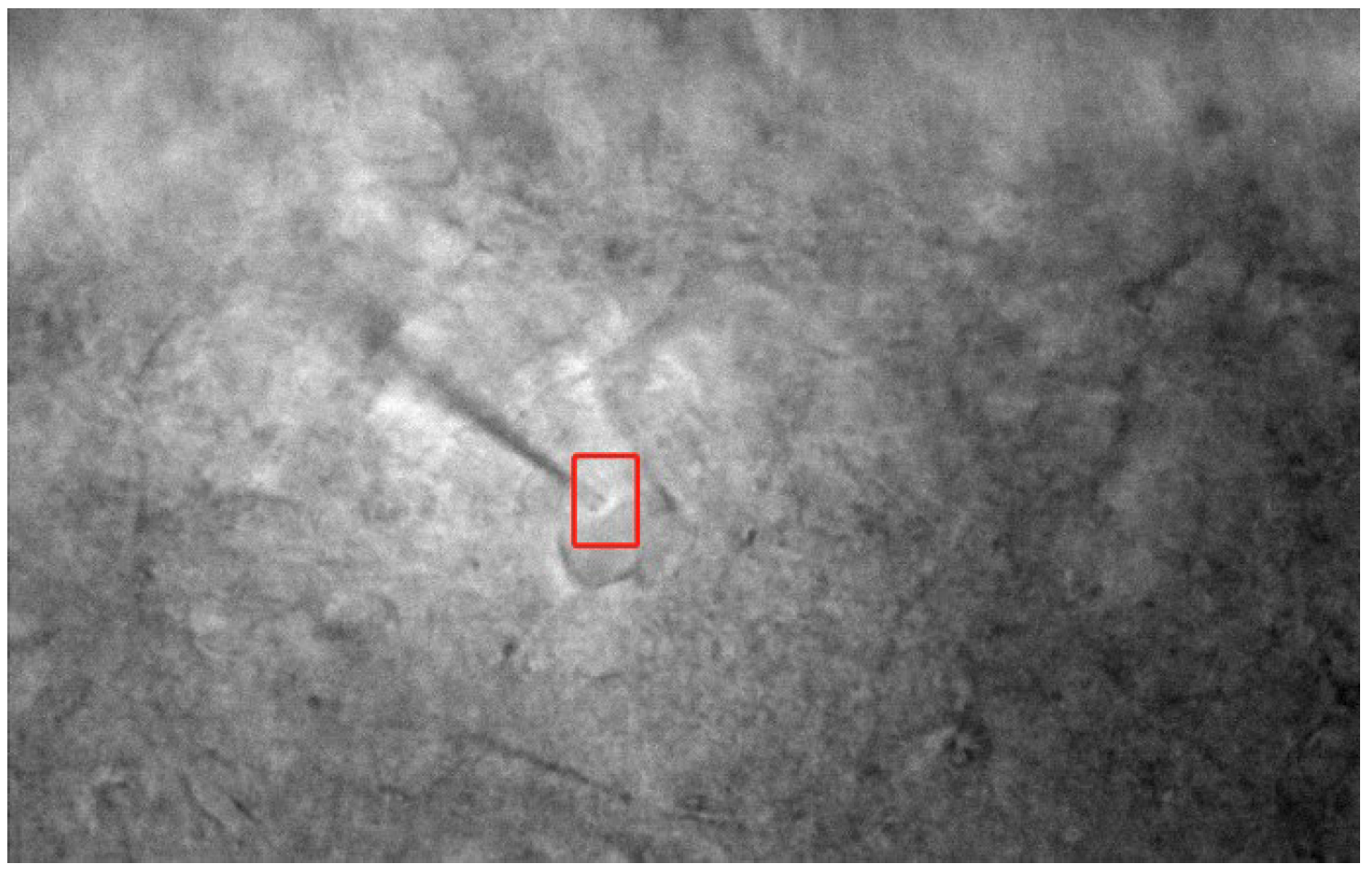 Sensors 23 08144 g001