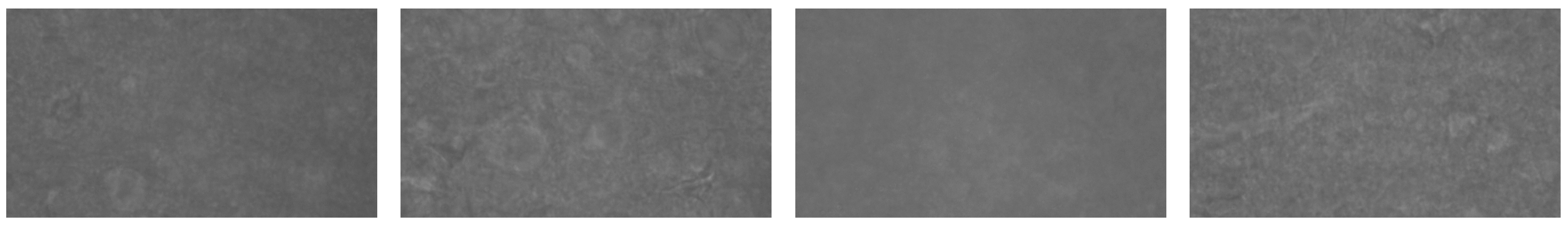 Sensors 23 08144 g002