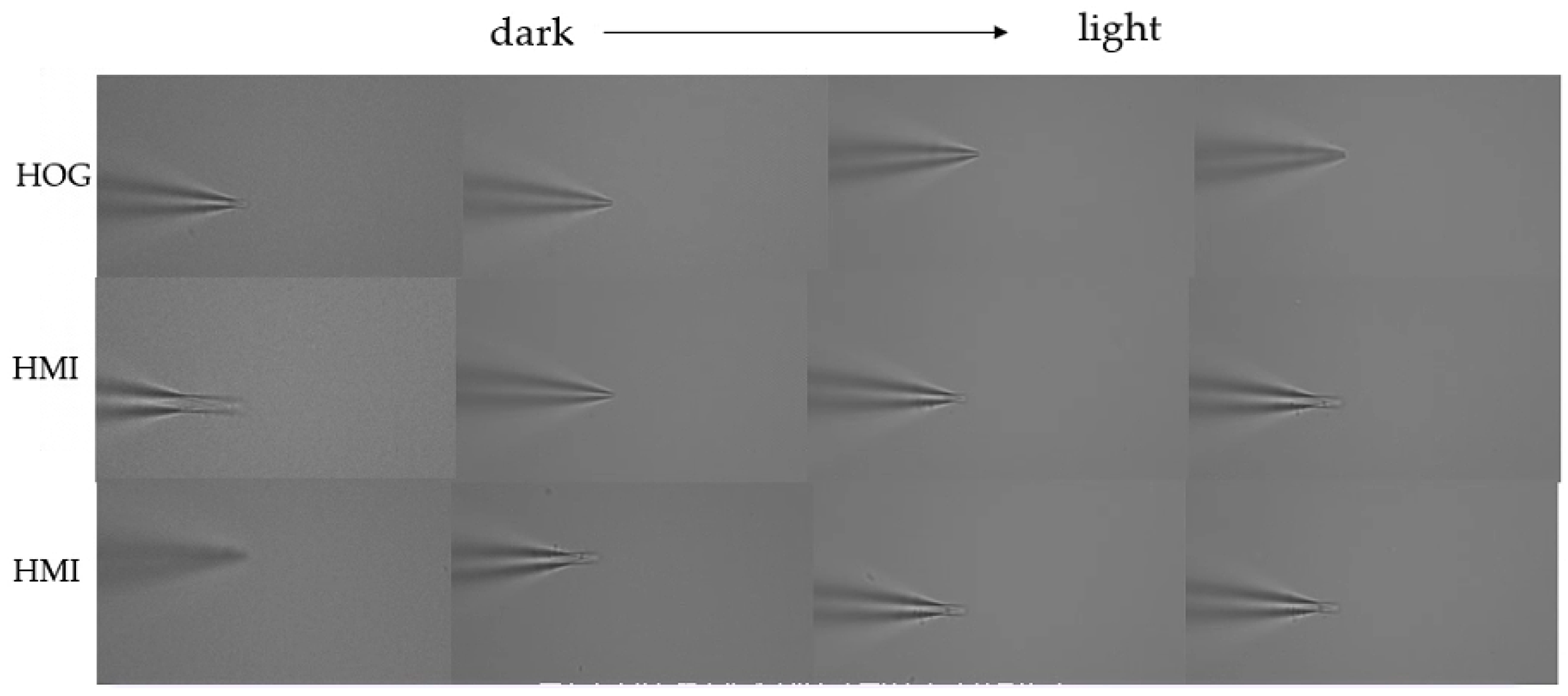 Sensors 23 08144 g011