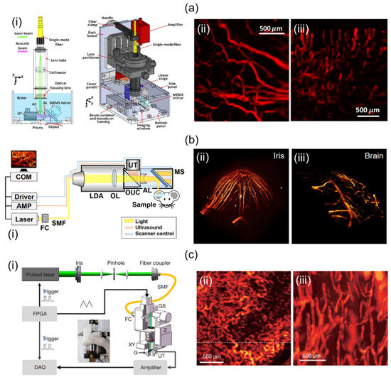 Review of Three-Dimensional Handheld Photoacoustic and Ultrasound ...