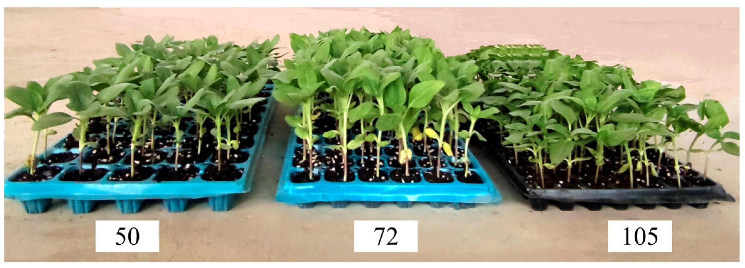 Sensors 23 08175 g001