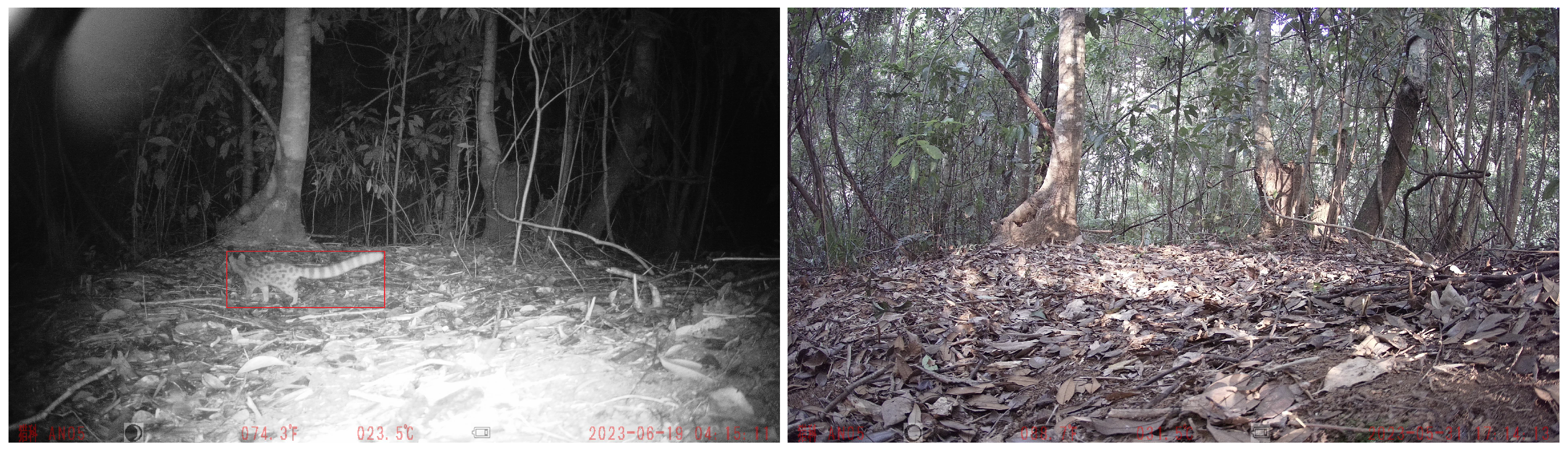 Sensors 23 08205 g001