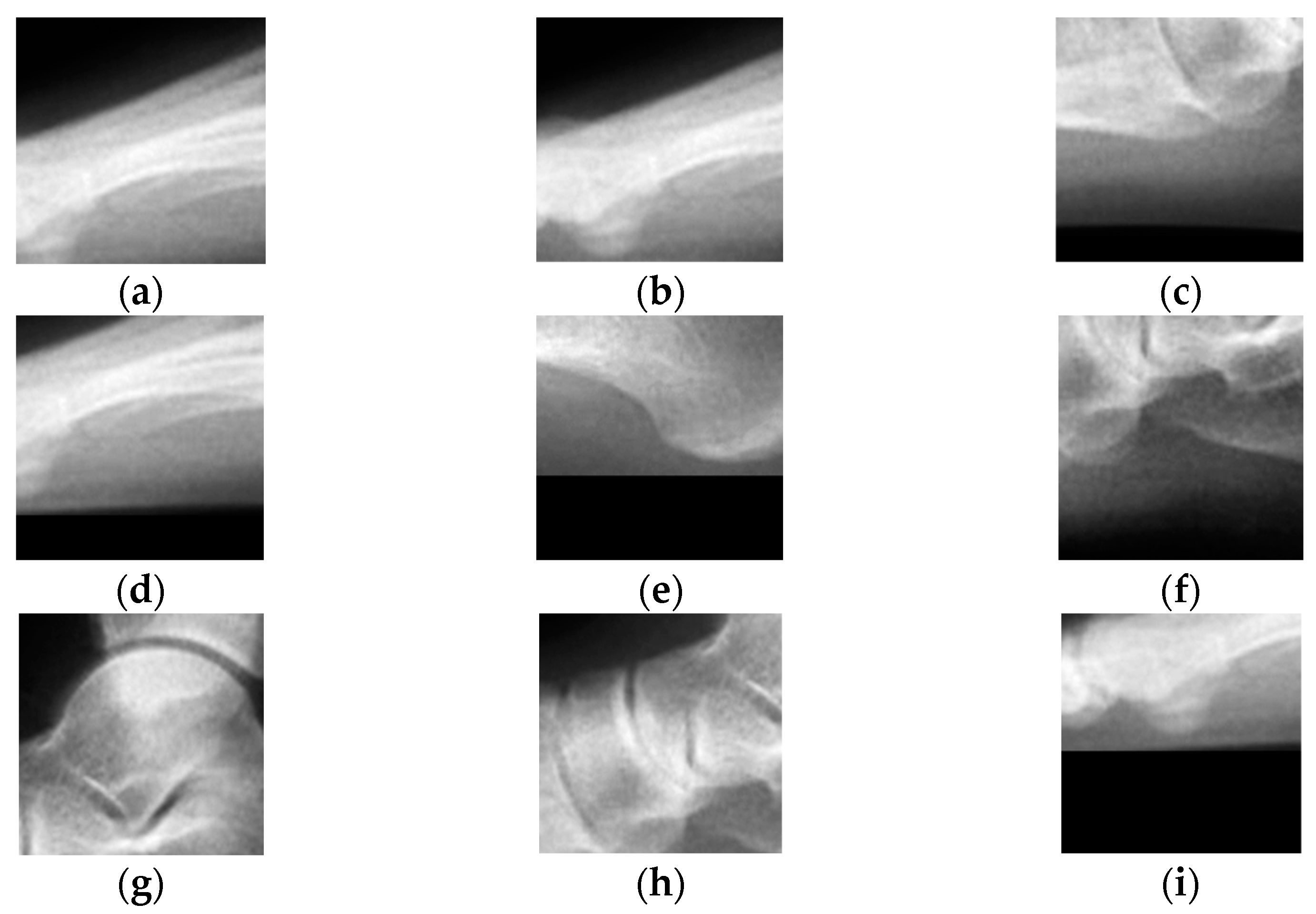 Sensors 23 08219 g002