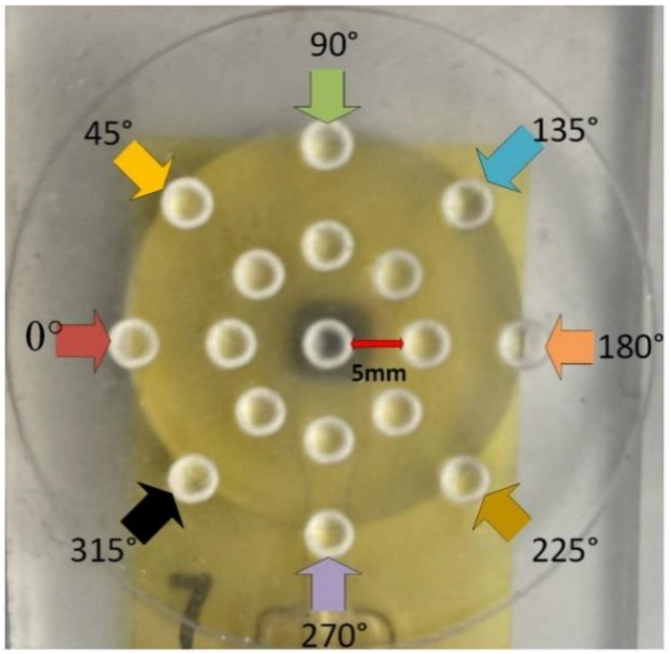 Sensors 23 08280 g007 Sensors 23 08280 g007