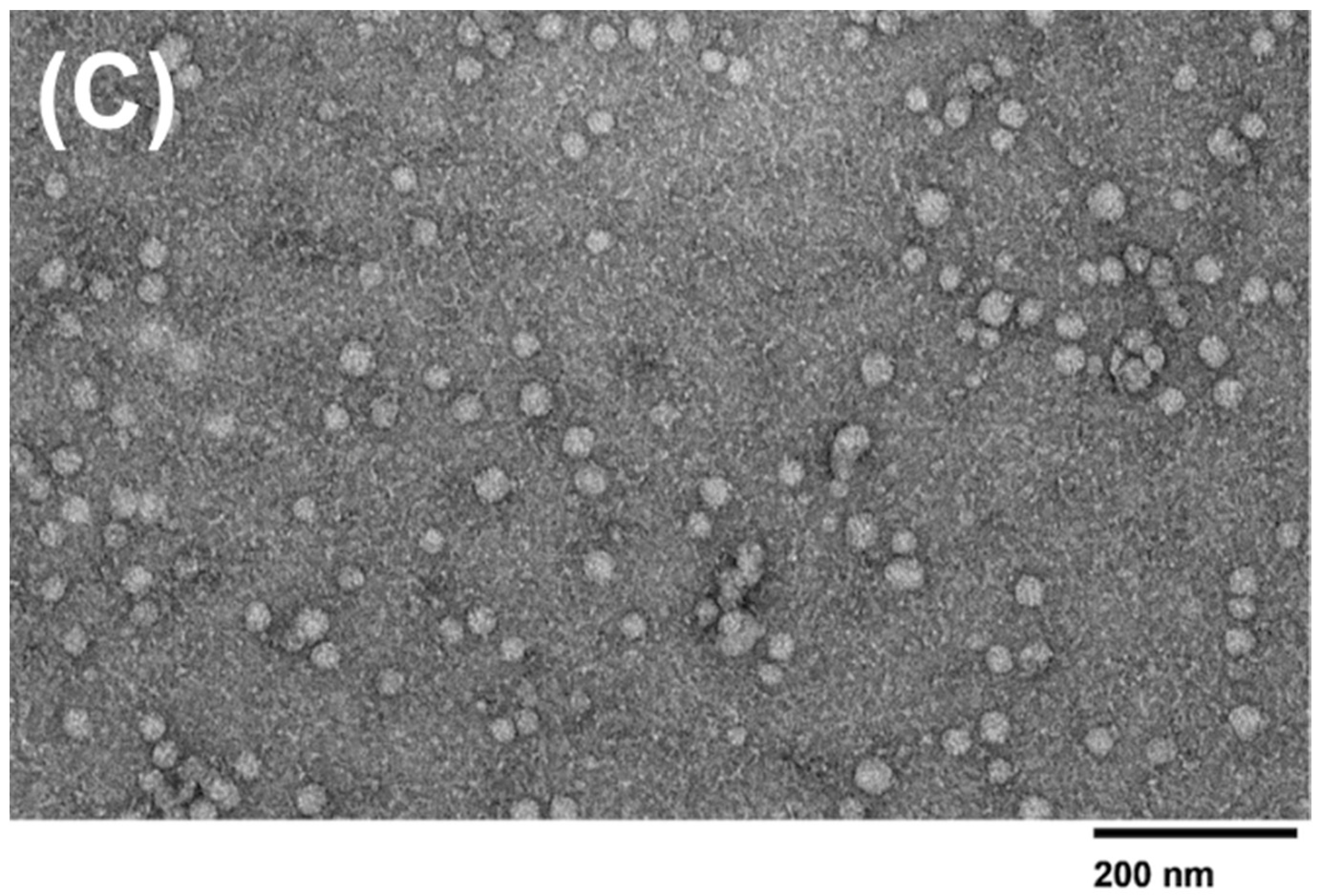 Sensors 23 08292 g007b