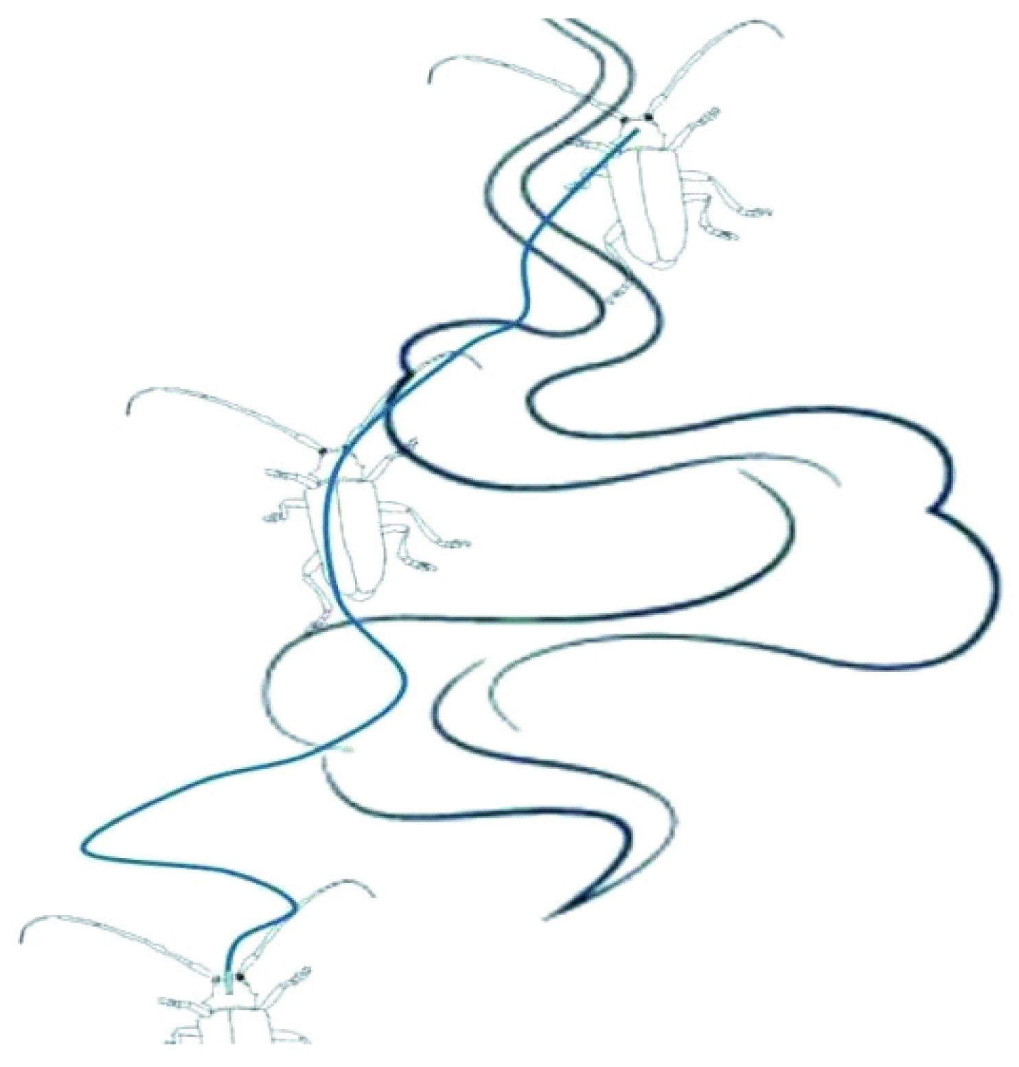 Sensors 23 08325 g002