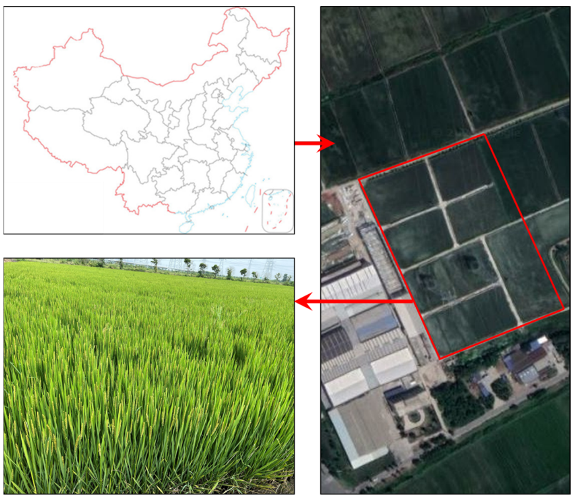 Sensors 23 08334 g001