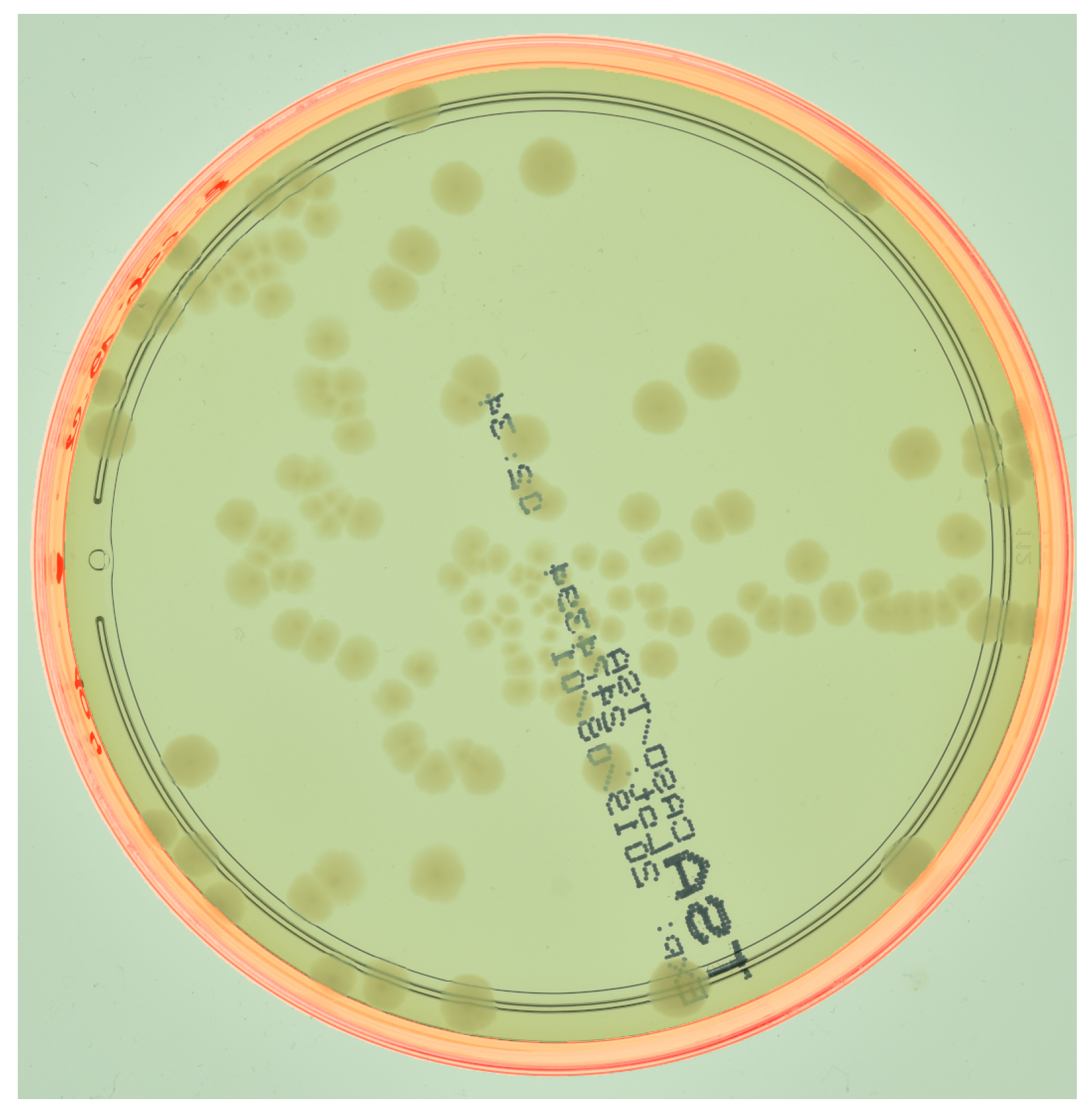 Sensors 23 08337 g004