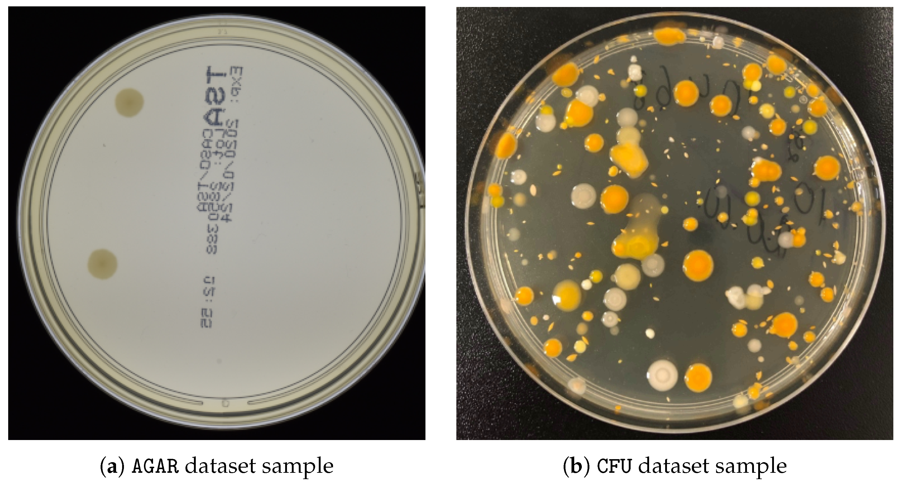 Sensors 23 08337 g006