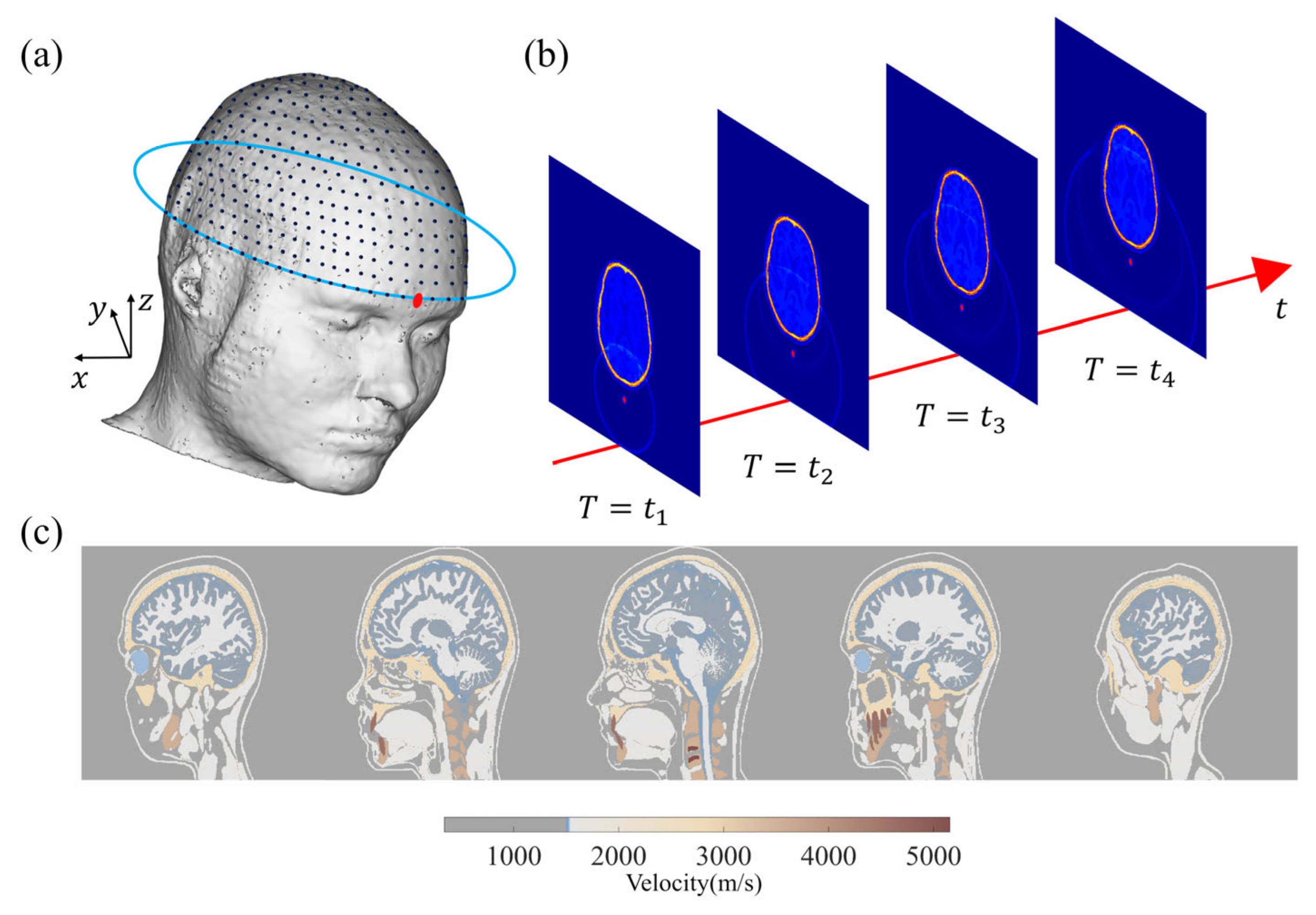 Sensors 23 08341 g001