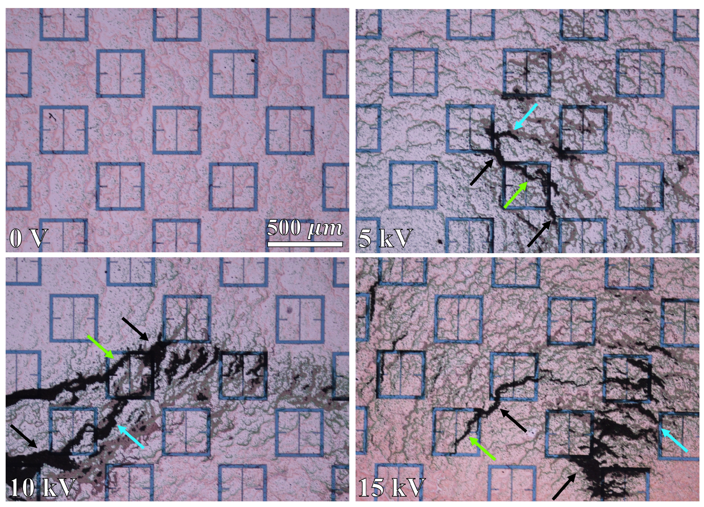 Sensors 23 08359 g025