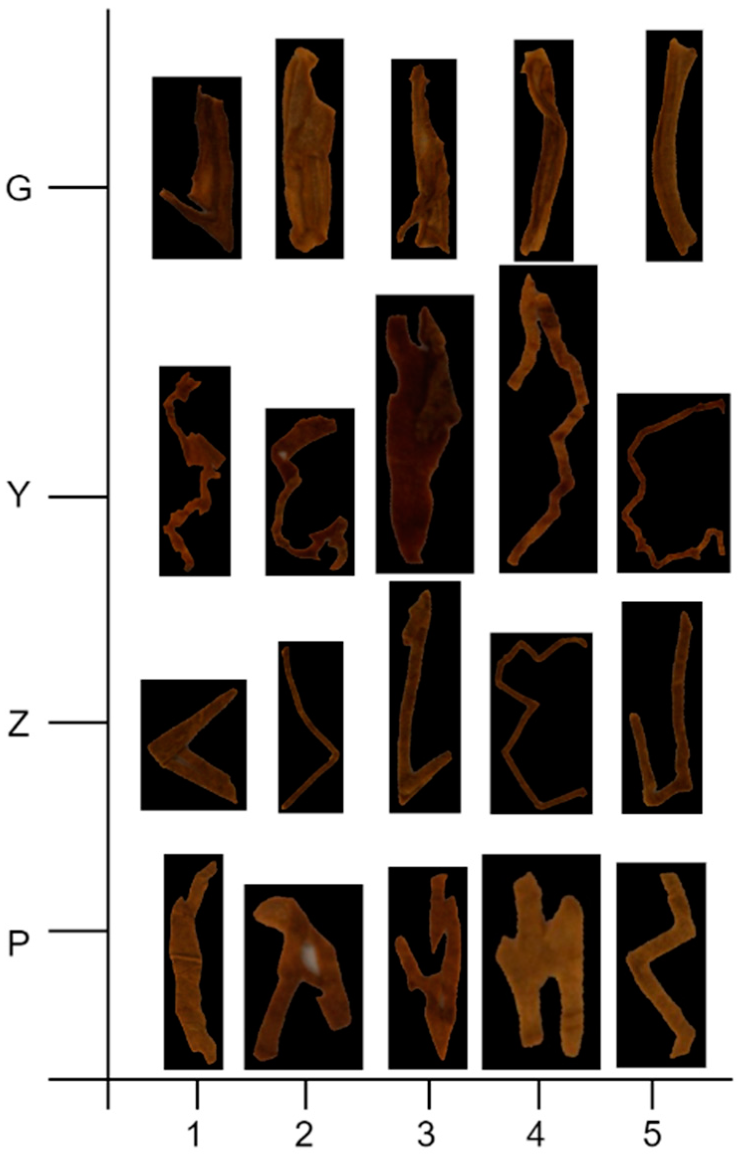 Sensors 23 08380 g015