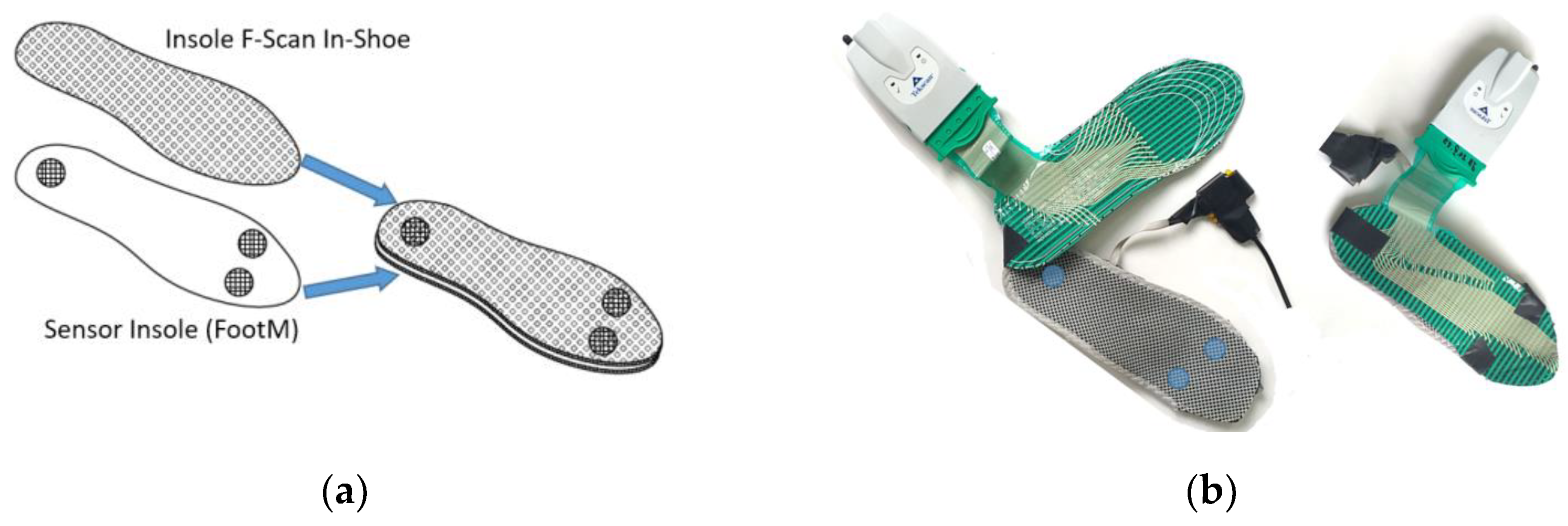 Sensors 23 08436 g007