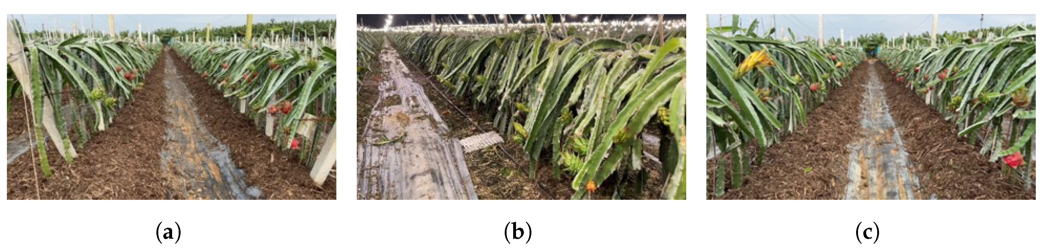 Sensors 23 08444 g001