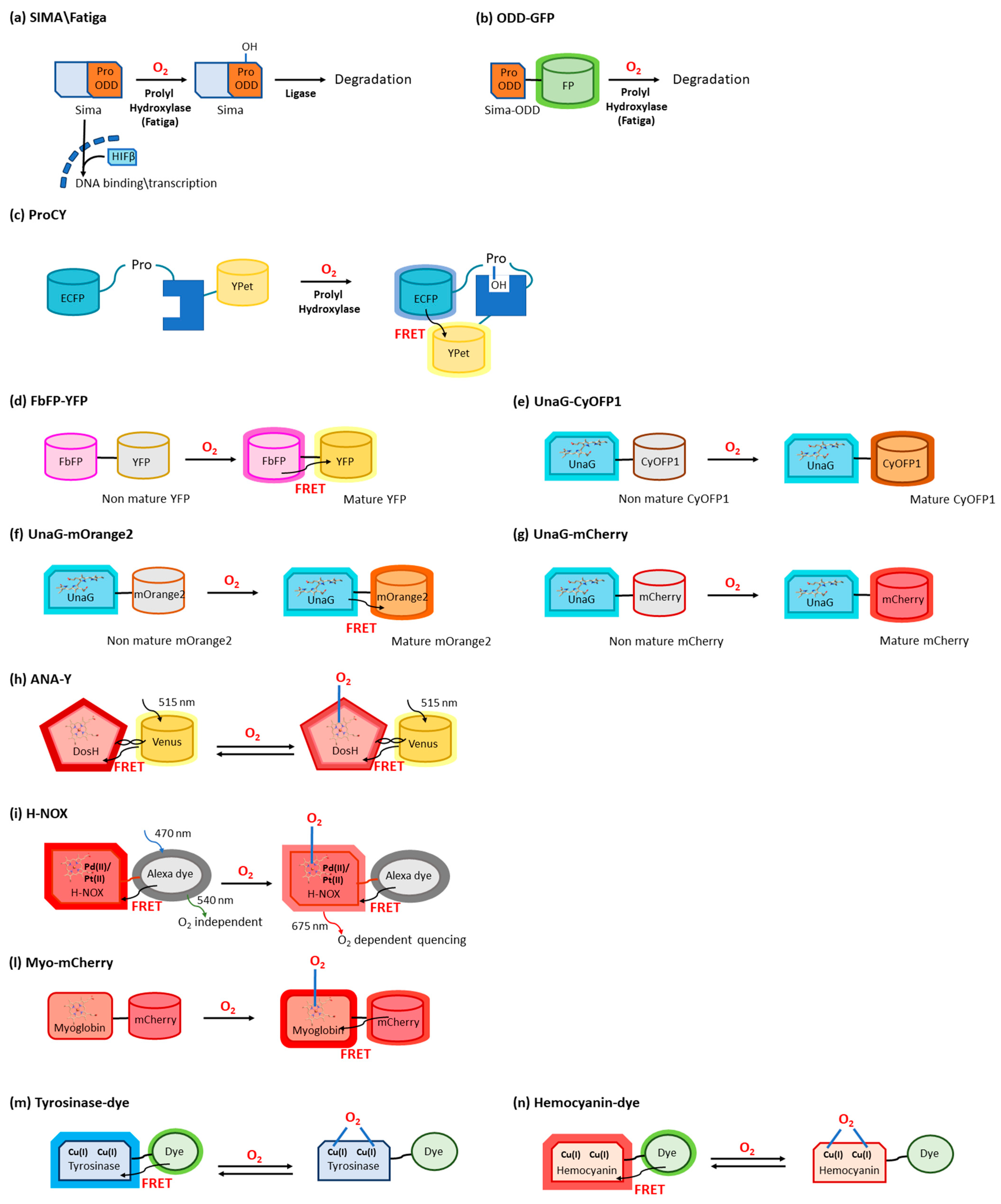 Sensors 23 08517 g002