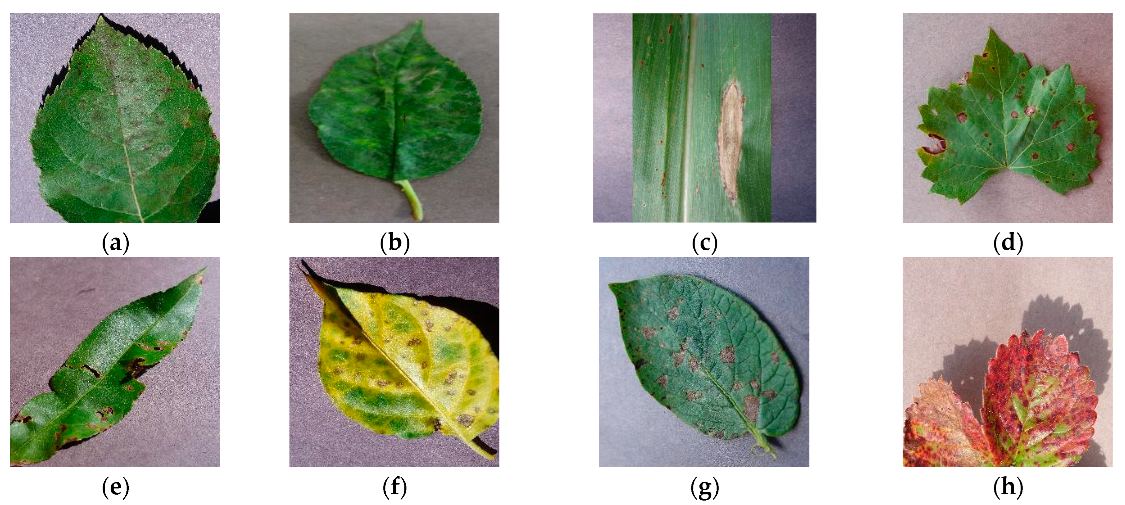 Sensors 23 08529 g001