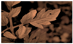 Sensors 23 08531 i006