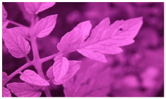 Sensors 23 08531 i011