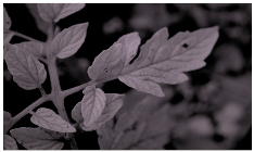 Sensors 23 08531 i012