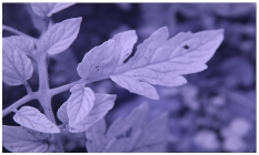 Sensors 23 08531 i014