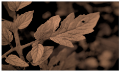 Sensors 23 08531 i015