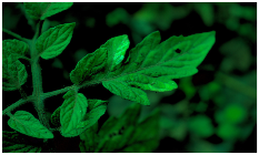 Sensors 23 08531 i018