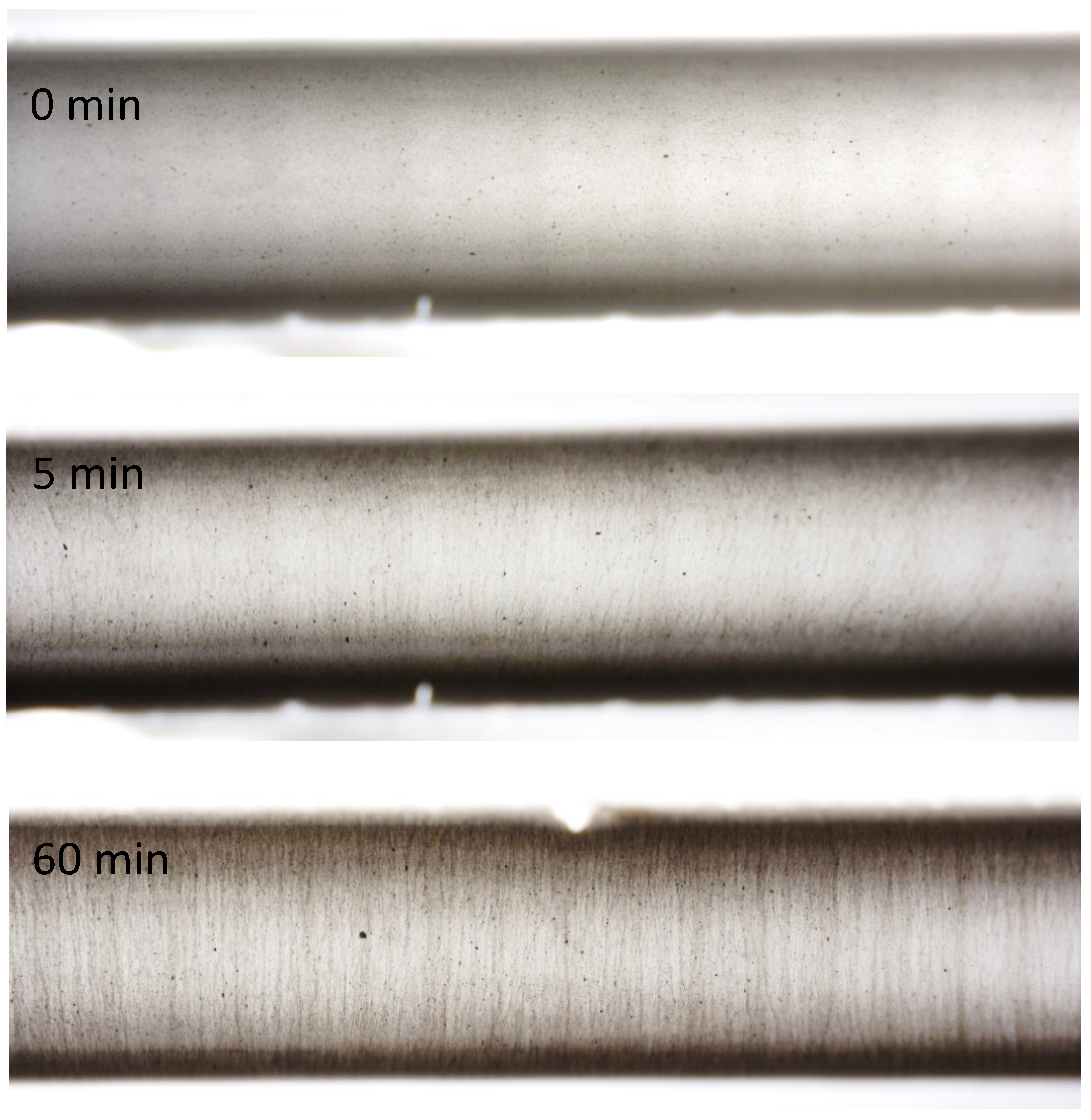 Sensors 23 08606 g013