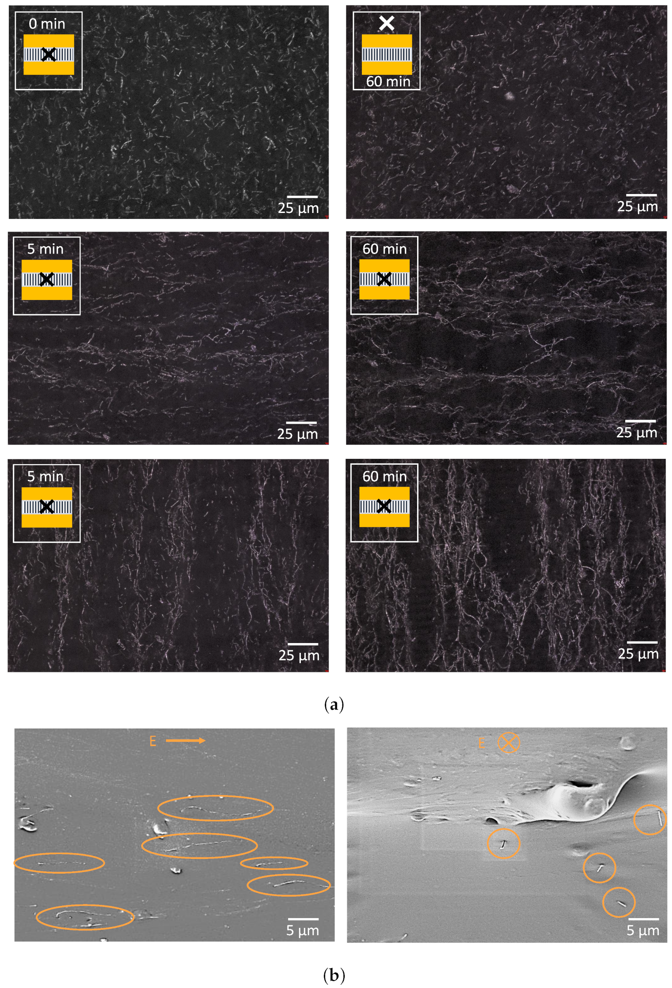Sensors 23 08606 g016