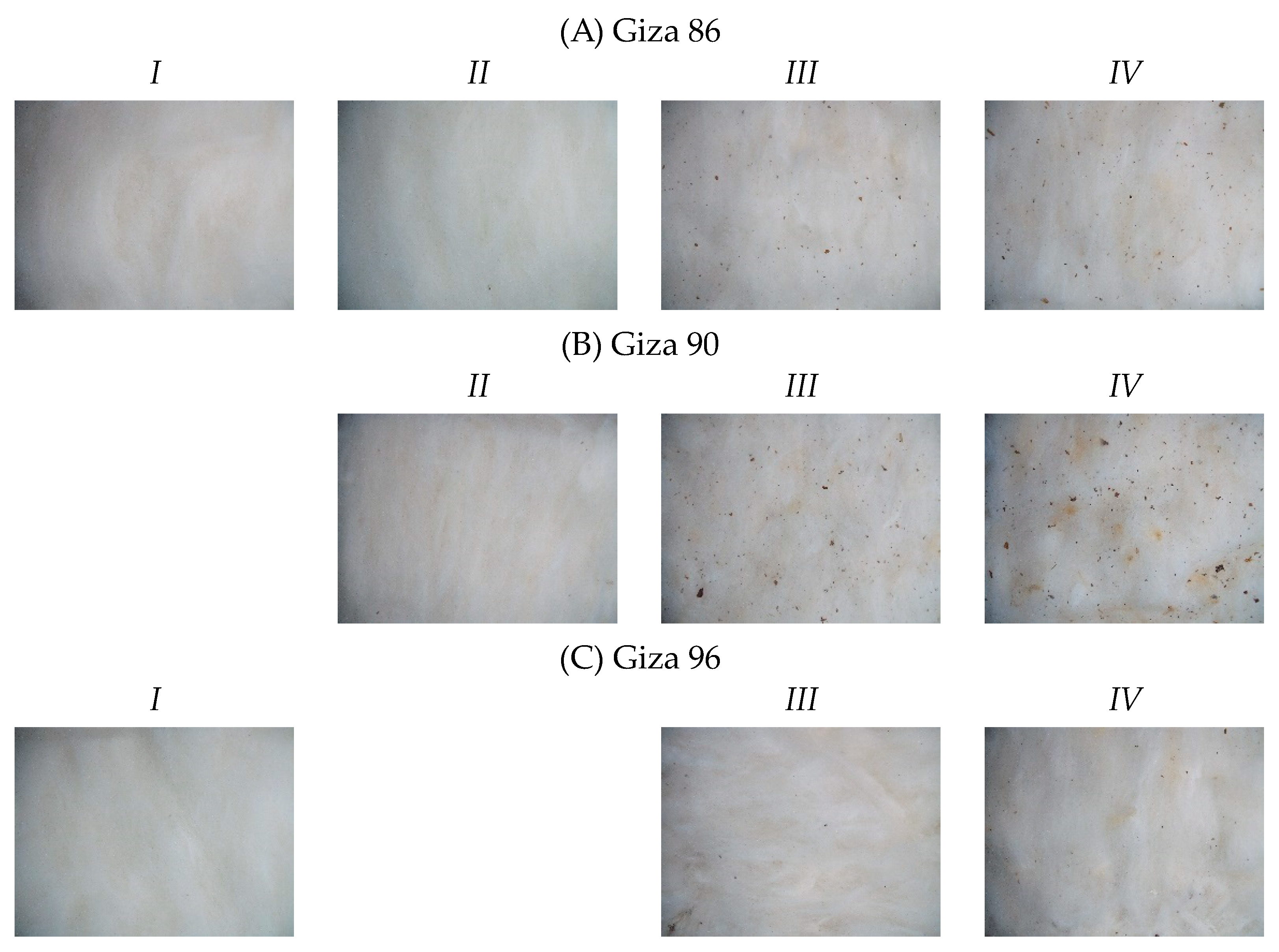 Sensors 23 08671 g001 Sensors 23 08671 g001