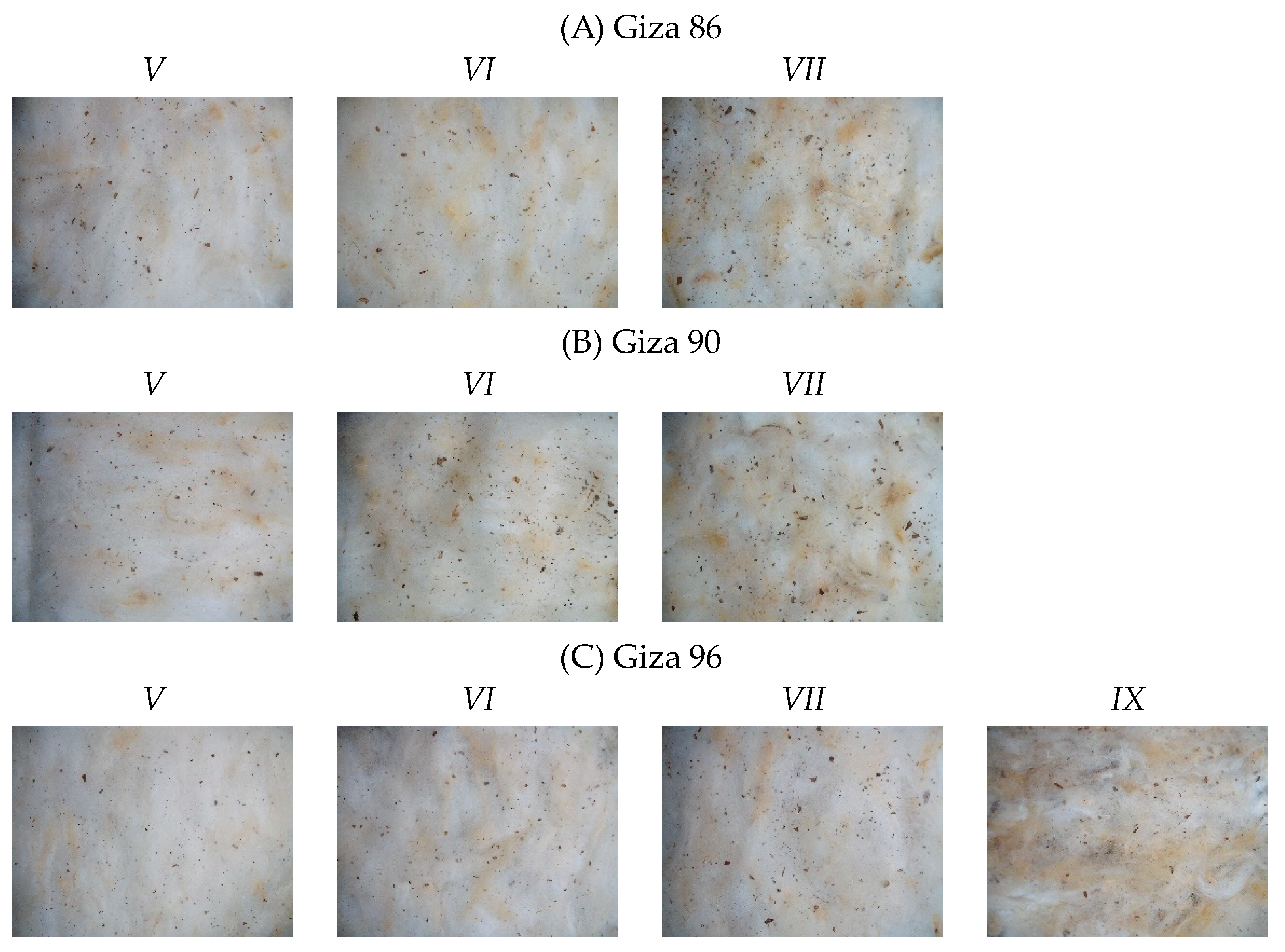 Sensors 23 08671 g002 Sensors 23 08671 g002