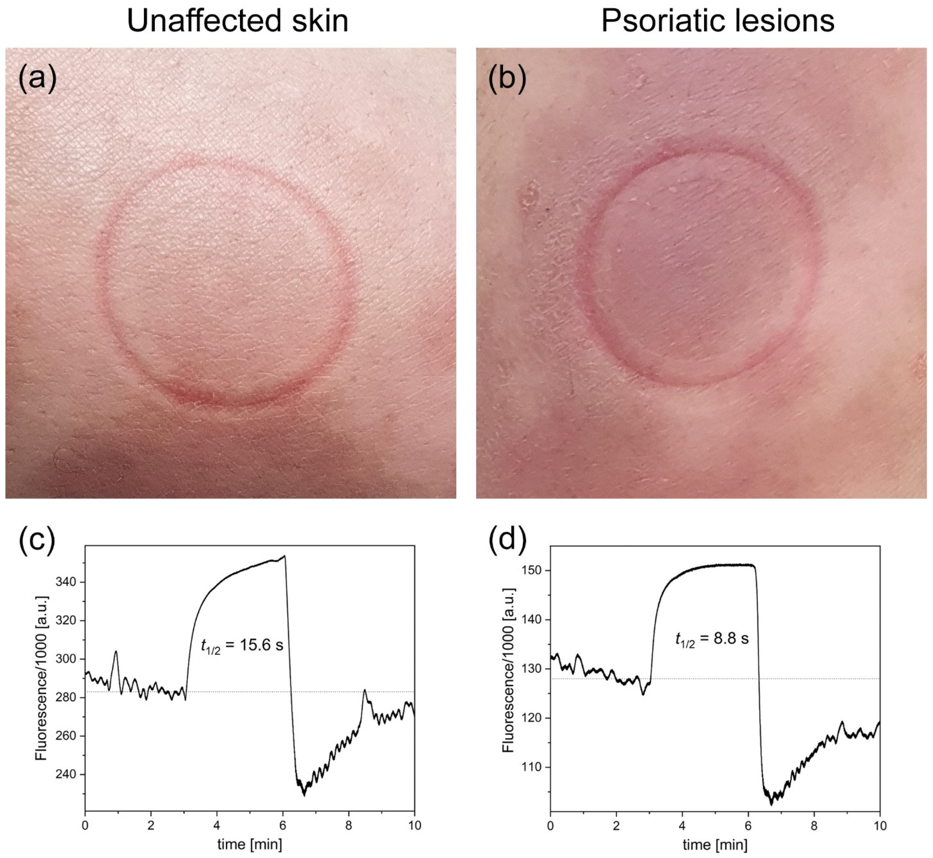 Sensors 23 08718 g001