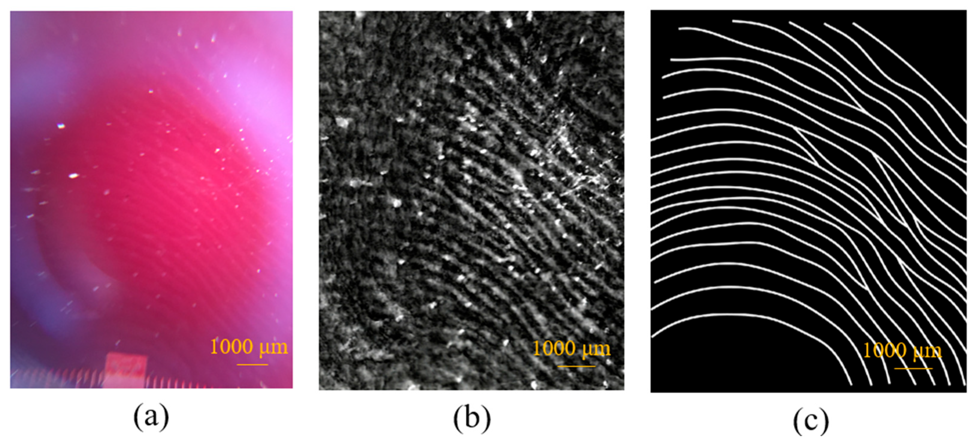 Sensors 23 08731 g010