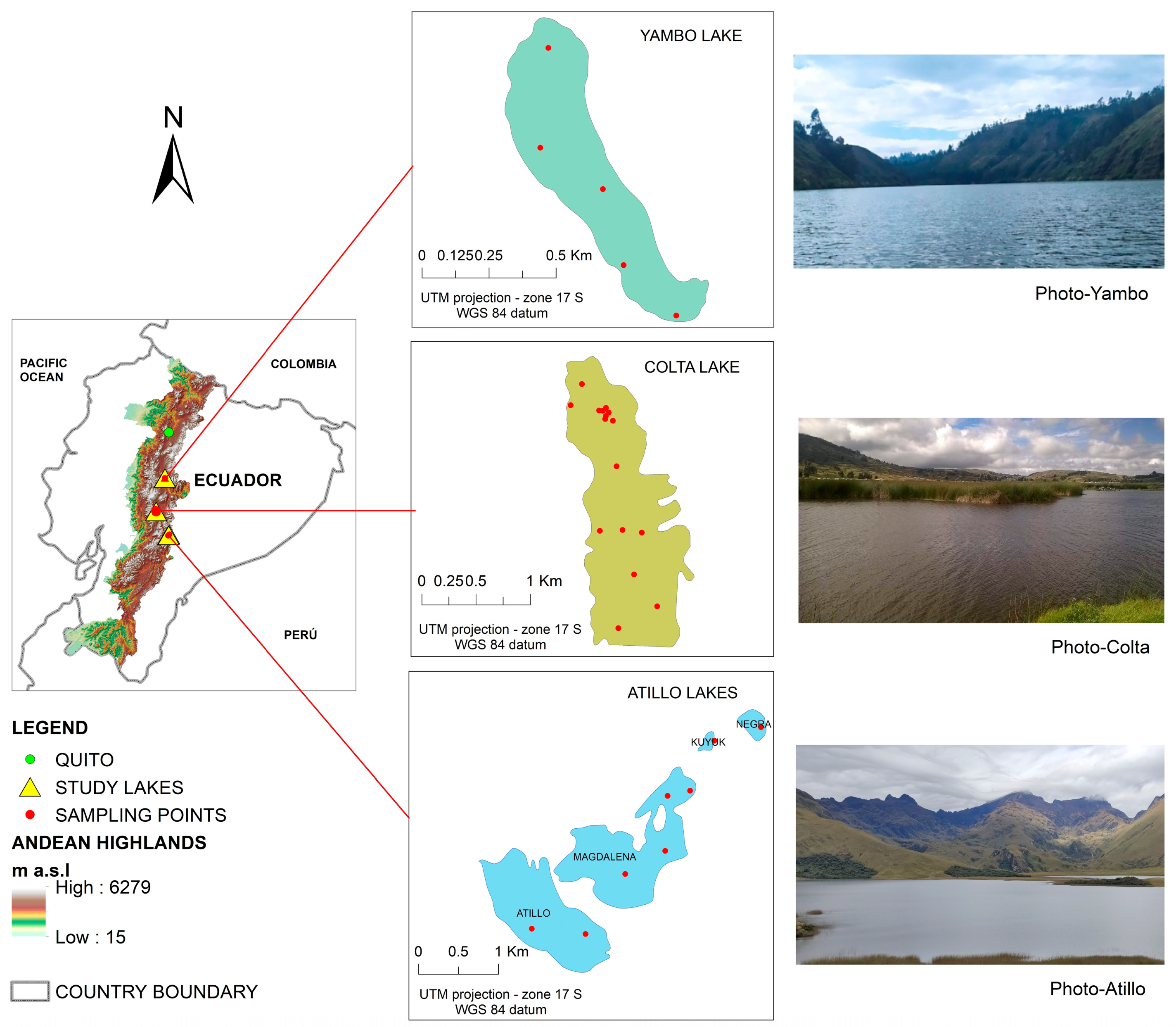 Sensors 23 08774 g001