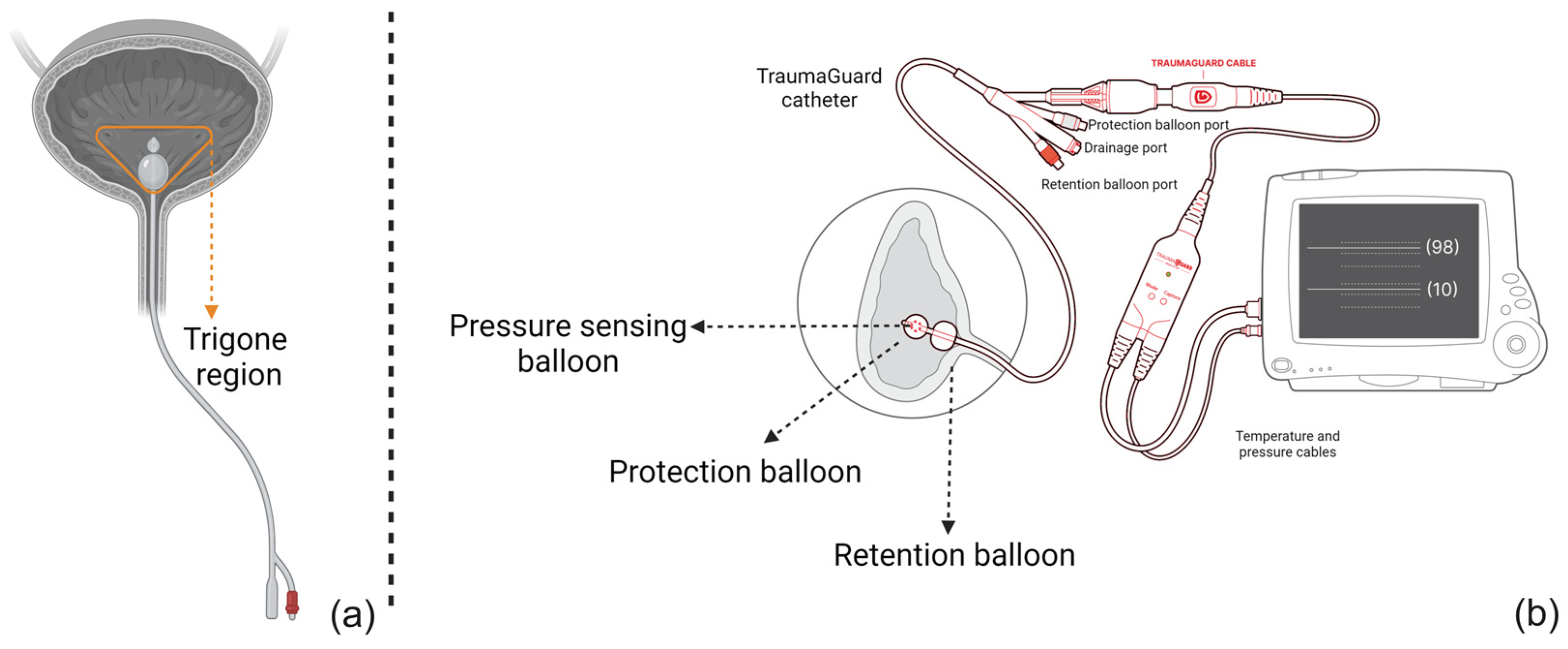 Sensors 23 08806 g001