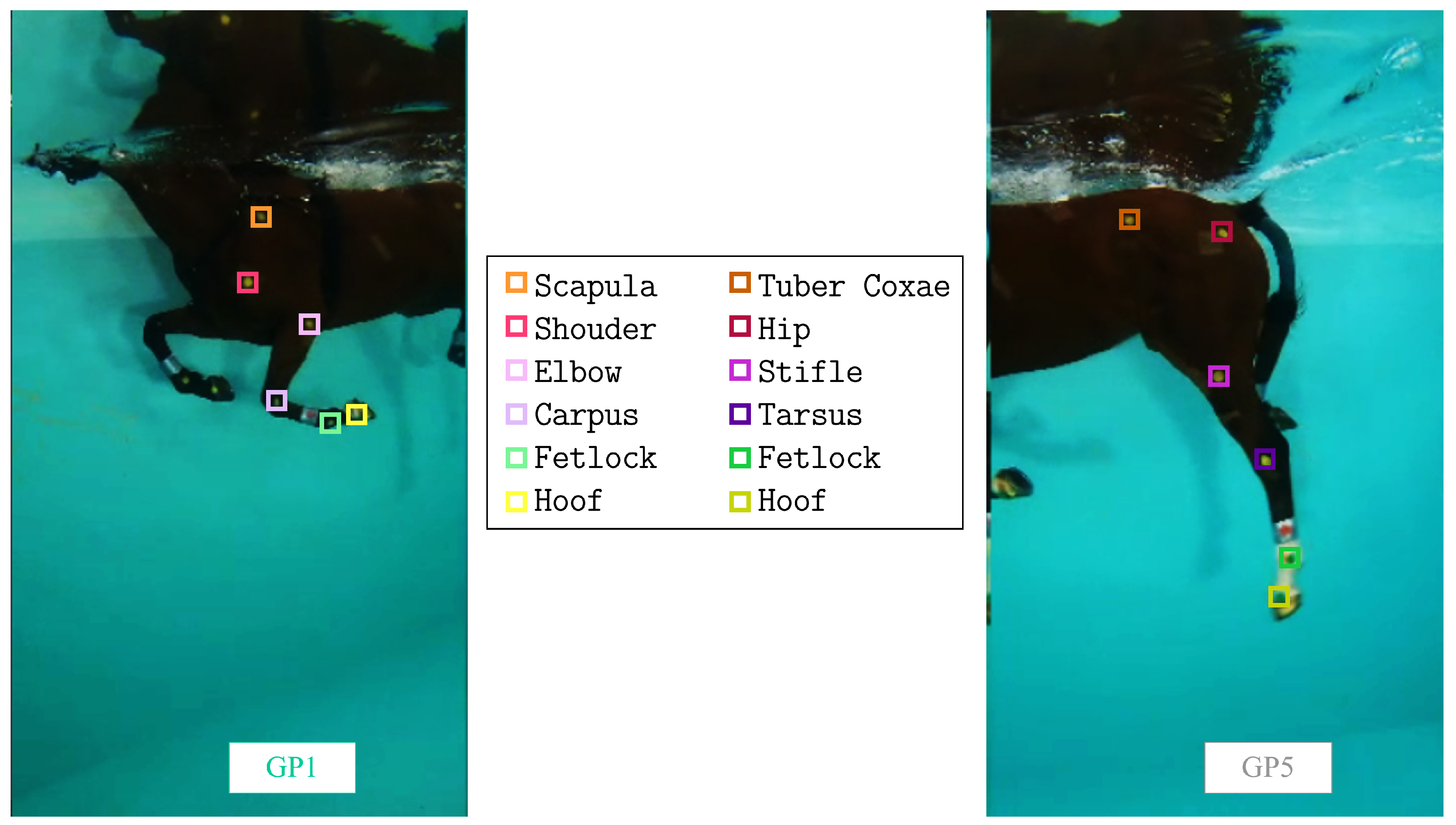 Sensors 23 08832 g005