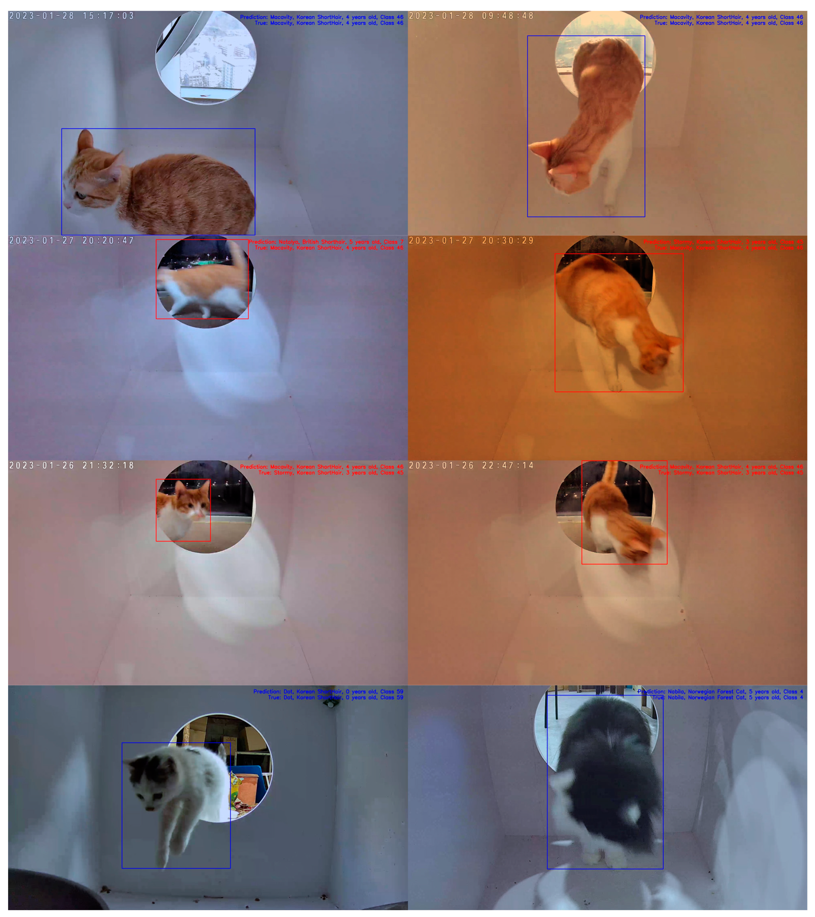 Sensors 23 08852 g009