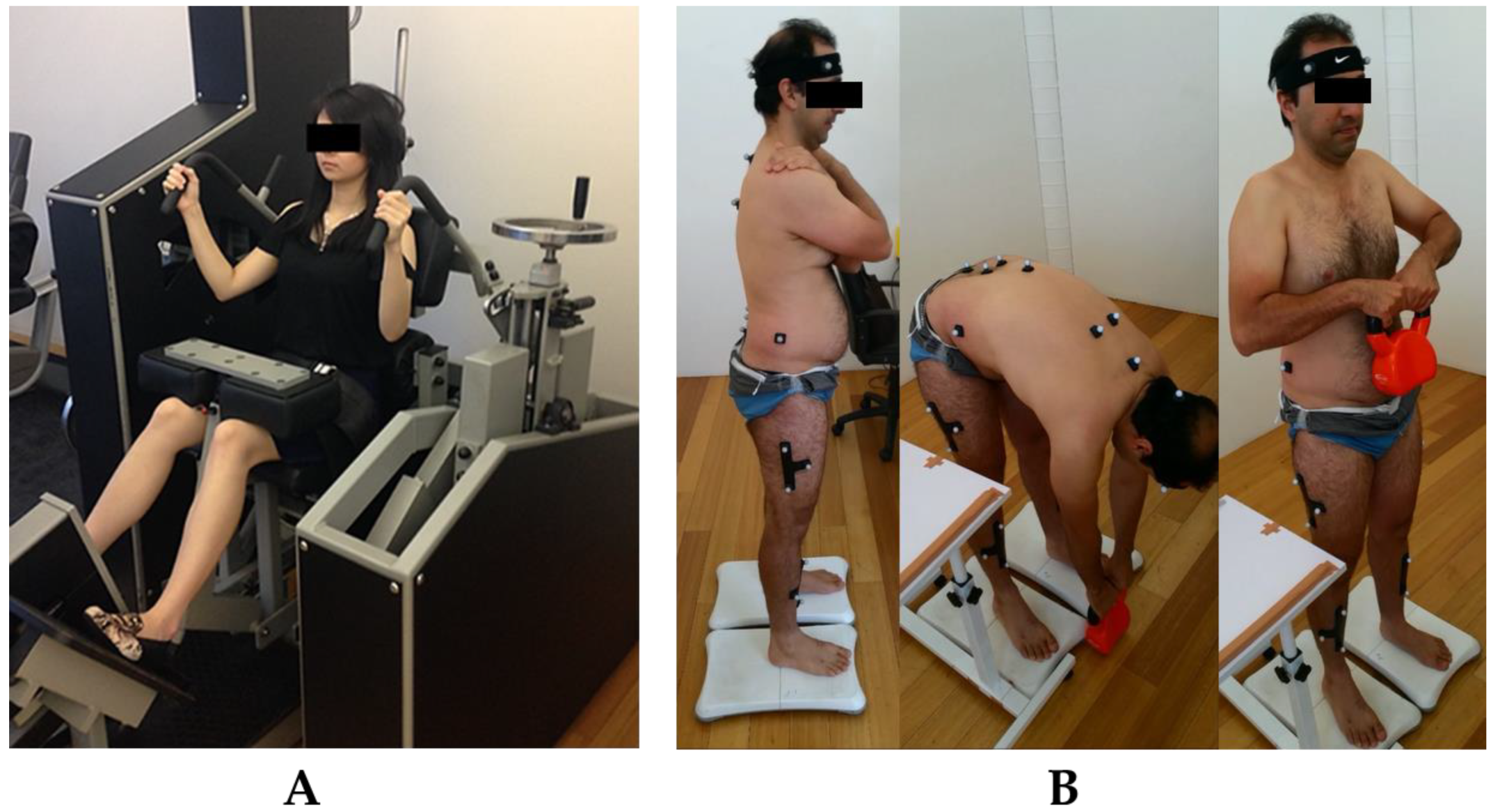 Sensors 23 08855 g001