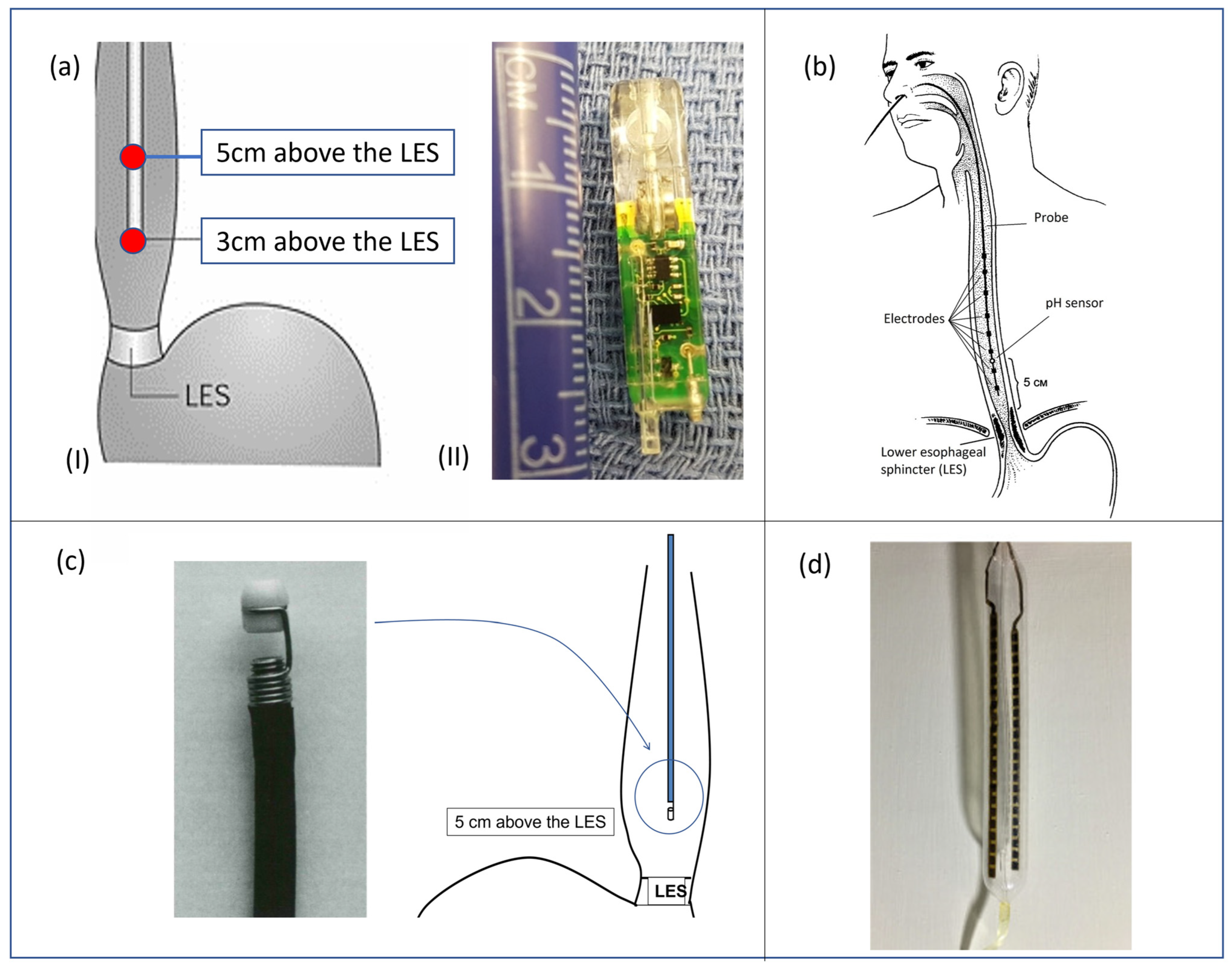Sensors 23 08858 g005