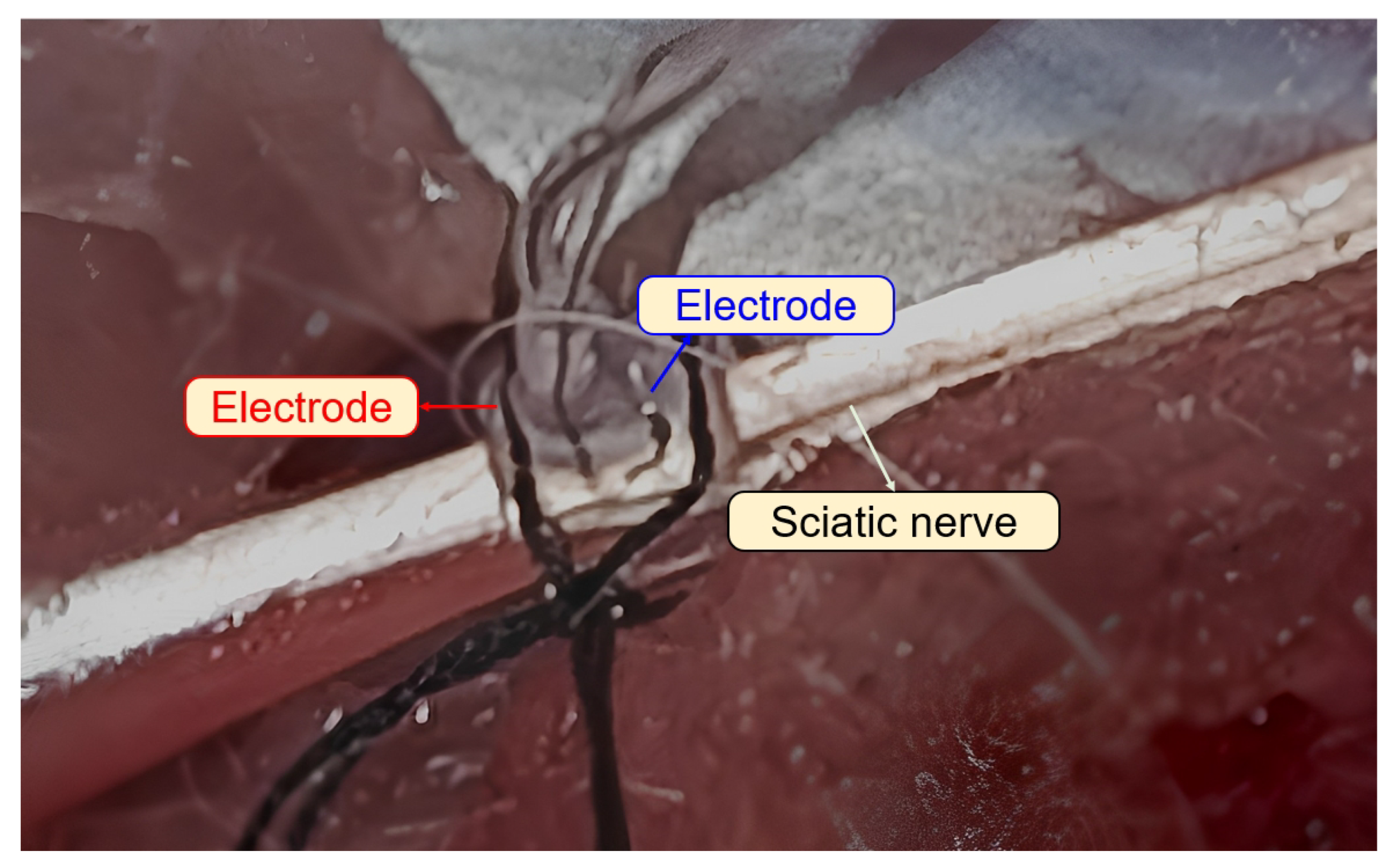 Sensors 23 08882 g002