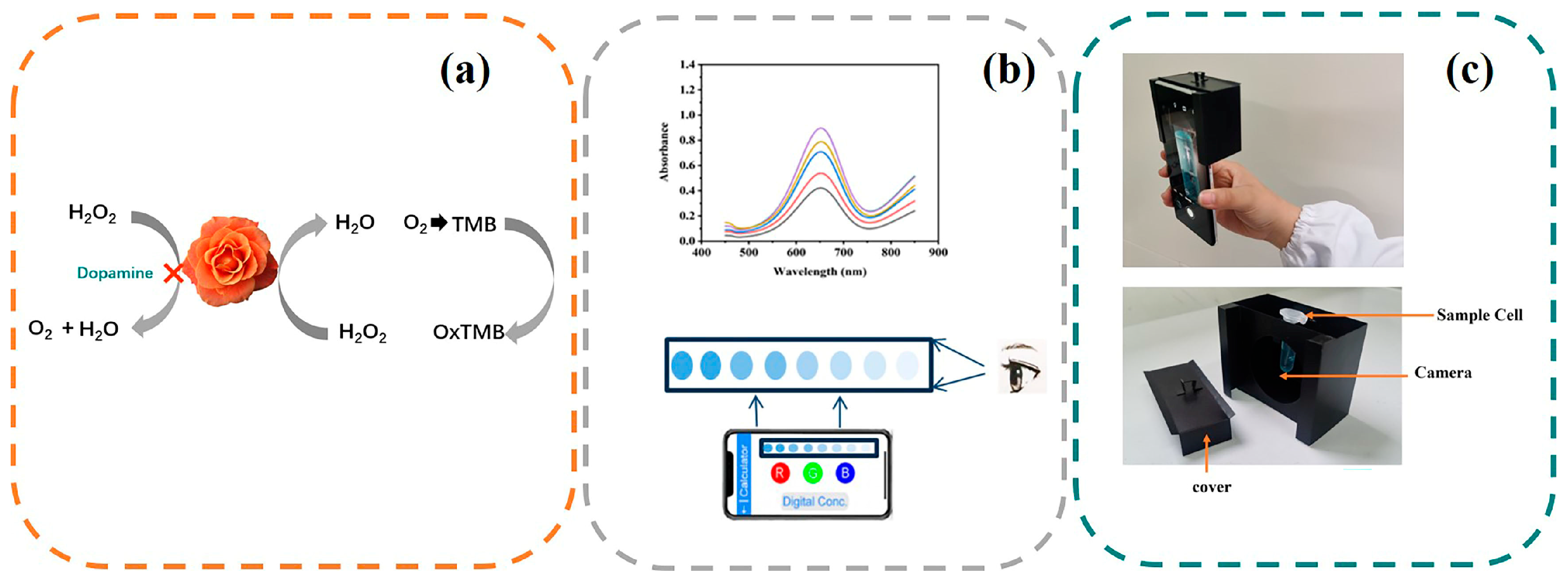 Sensors 23 09029 g001