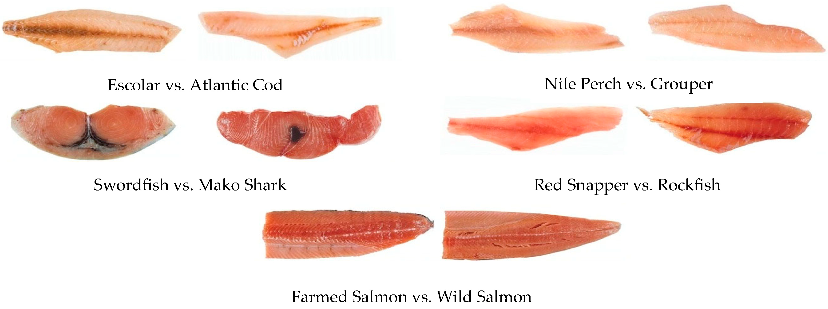 Sensors 23 09062 g001