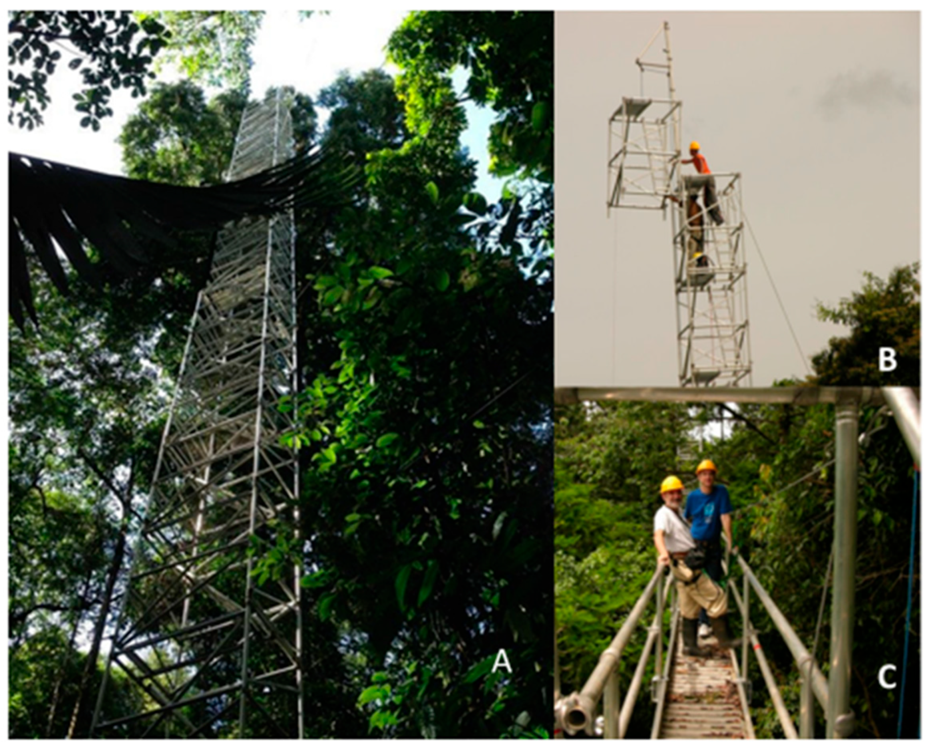 Sensors 23 09081 g003