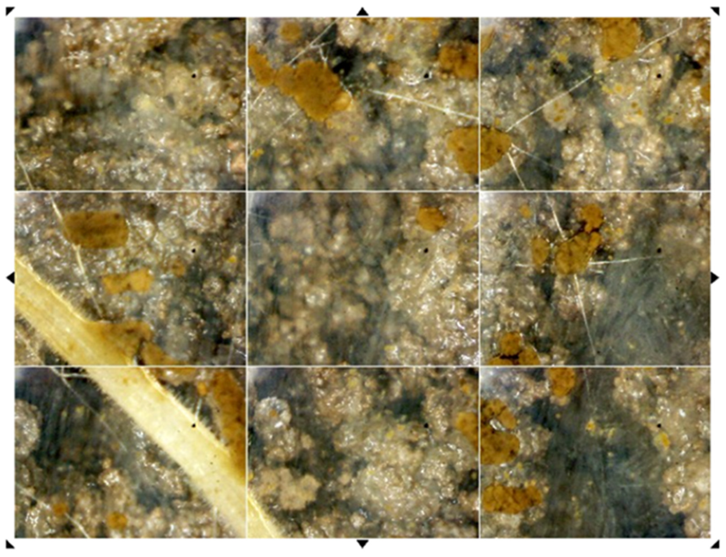 Sensors 23 09081 g006