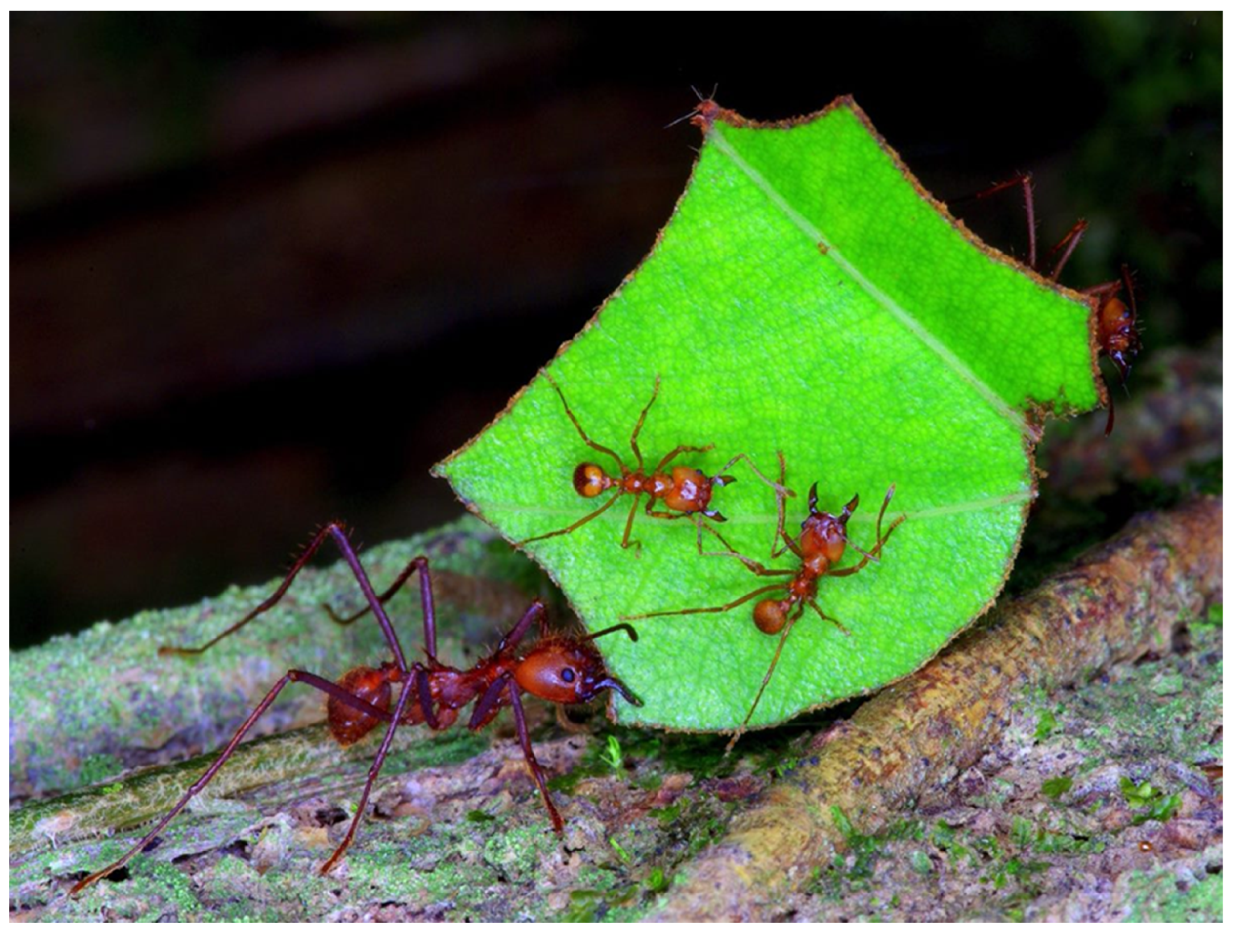 Sensors 23 09081 g007