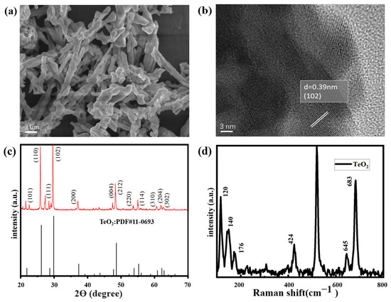 Rapid and Efficient NO2 Sensing Performance of TeO2 Nanowires