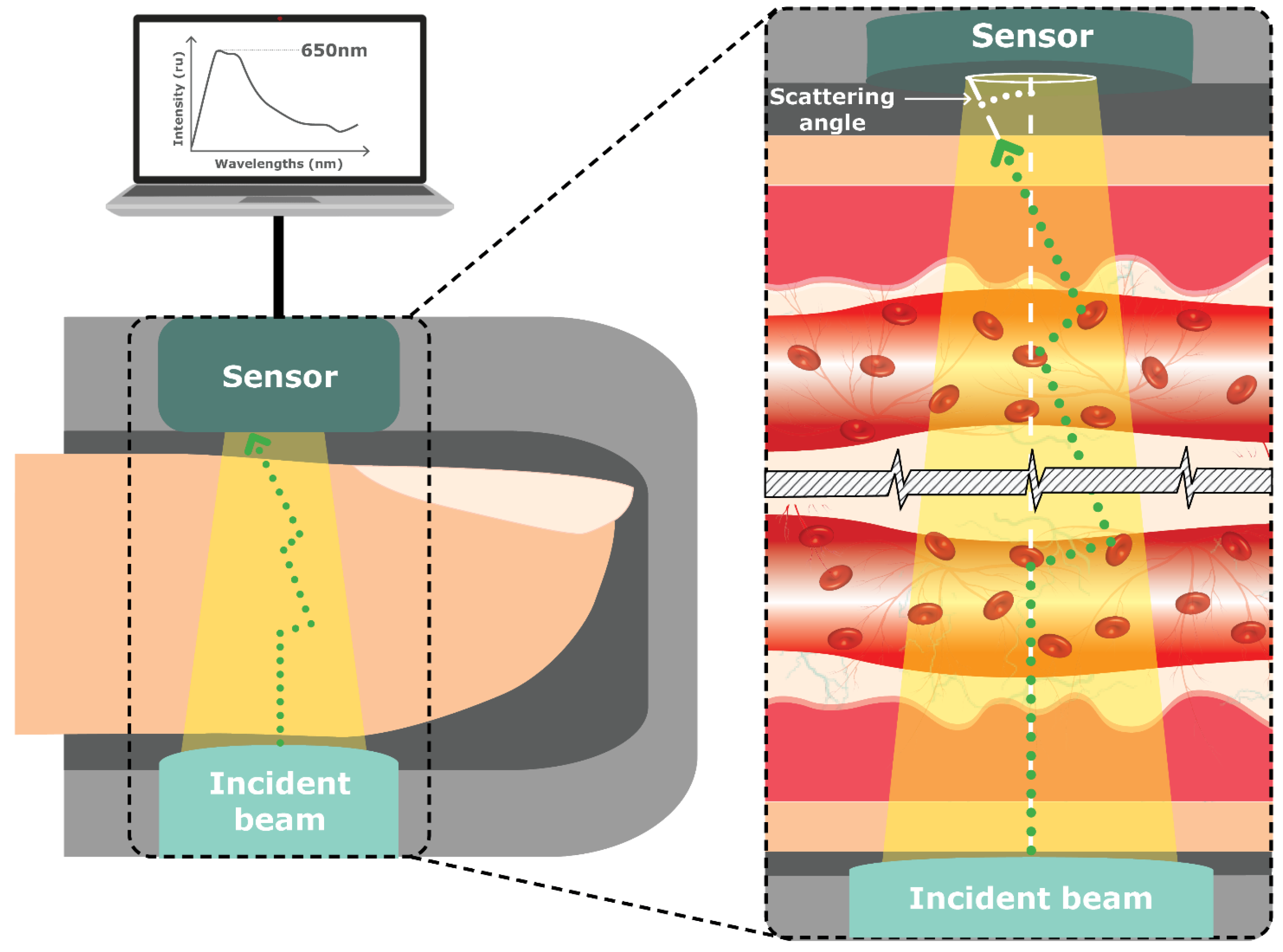 Sensors 23 09130 g012