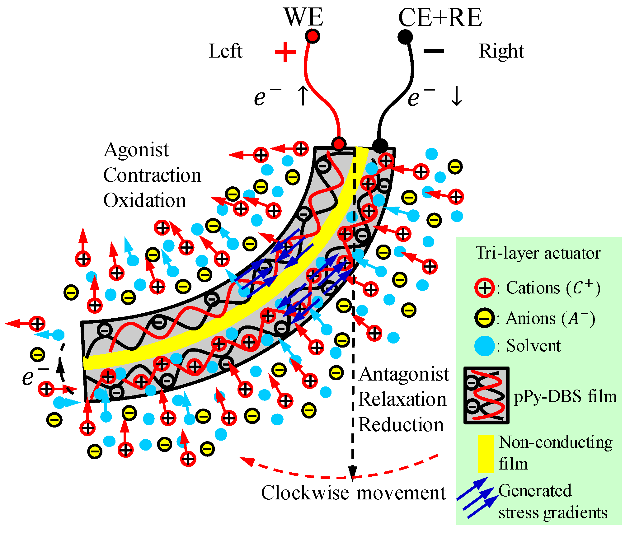 Sensors 23 09132 g005