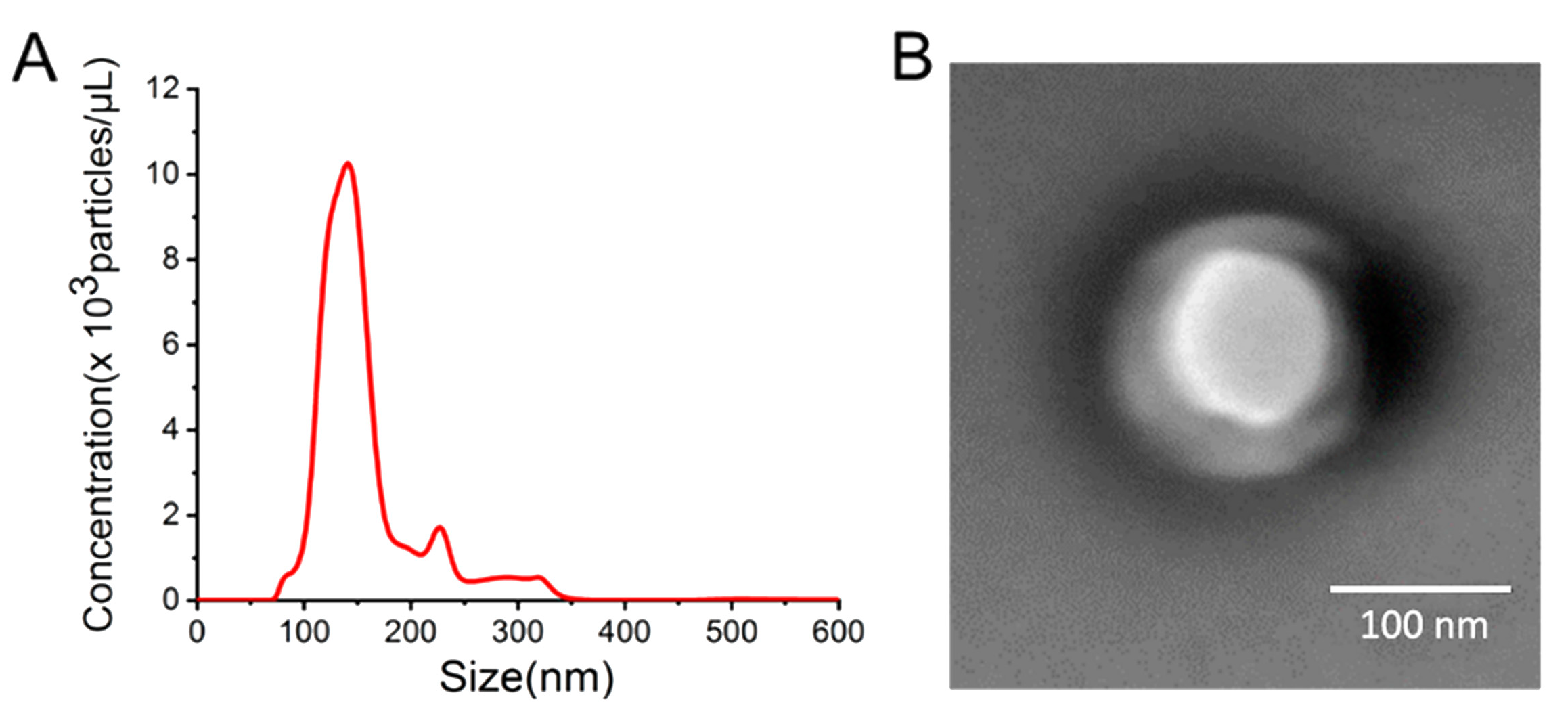 Sensors 23 09139 g001
