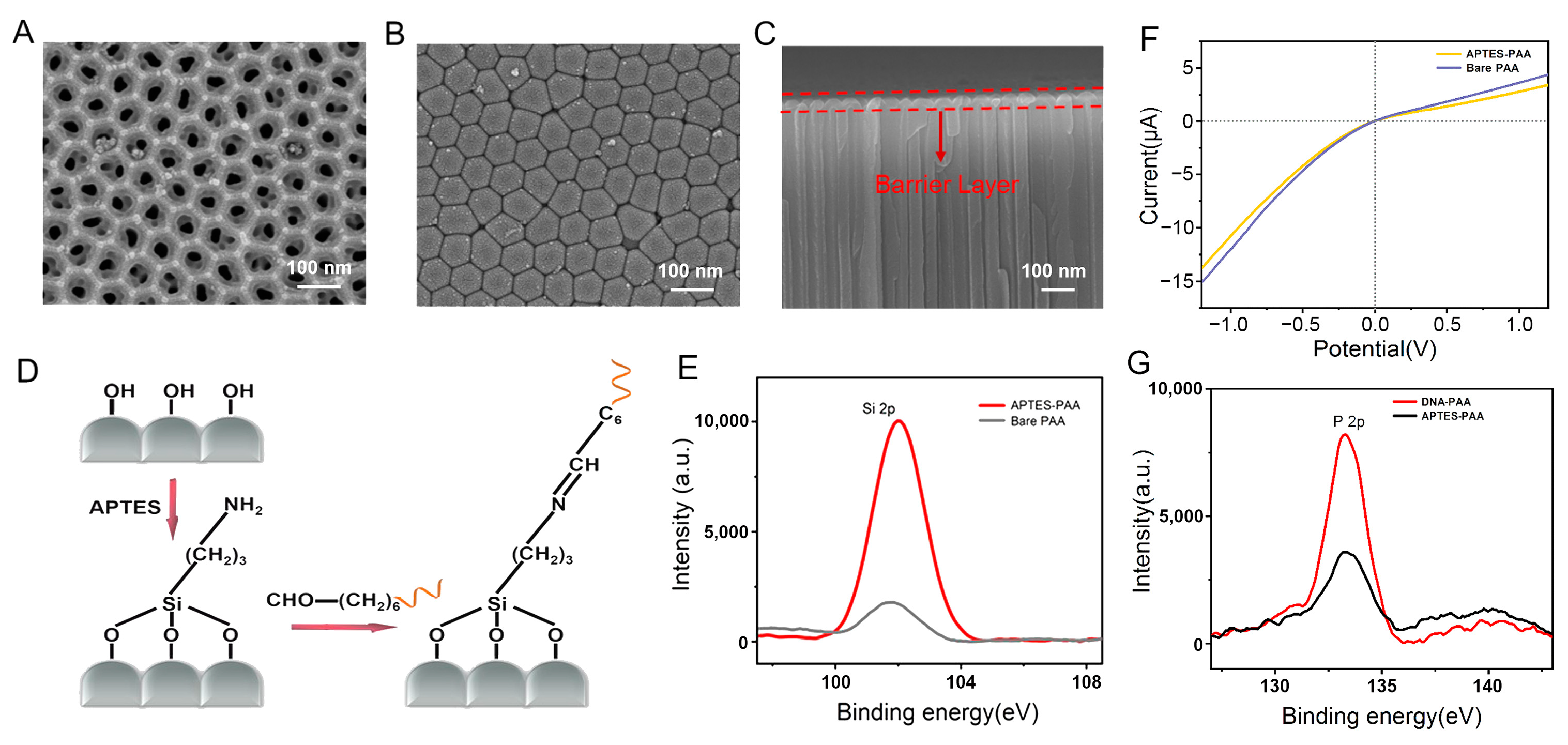Sensors 23 09139 g002